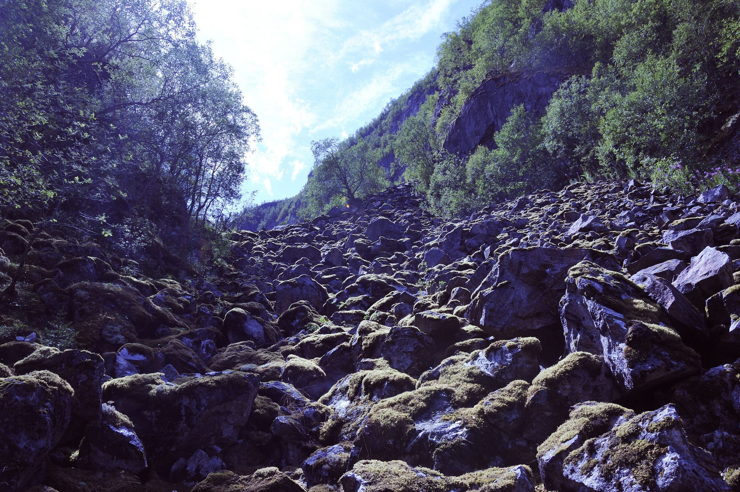 norwegen (47) - abstieg zum vøringsfossen