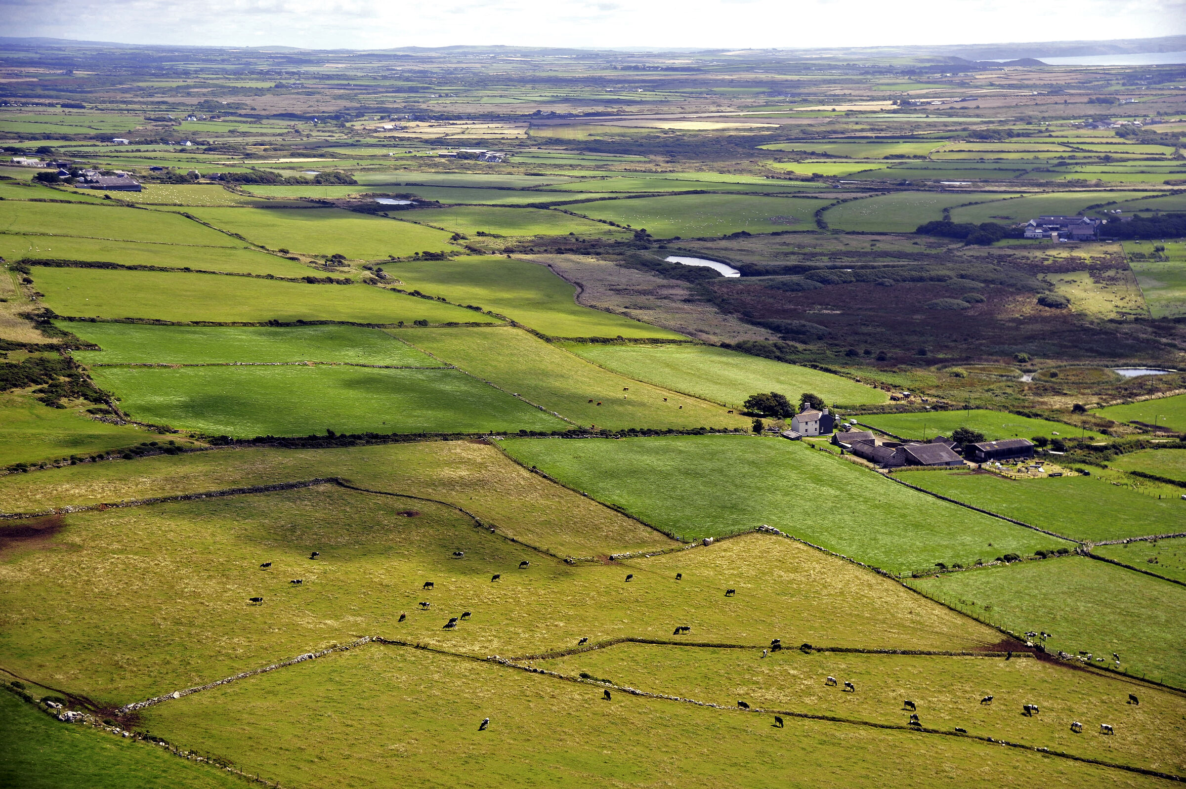 wales – whitesands bay (22)