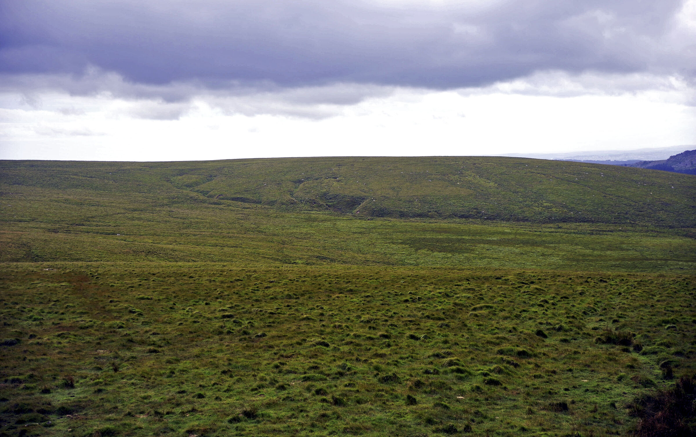 england – dartmoor (06)