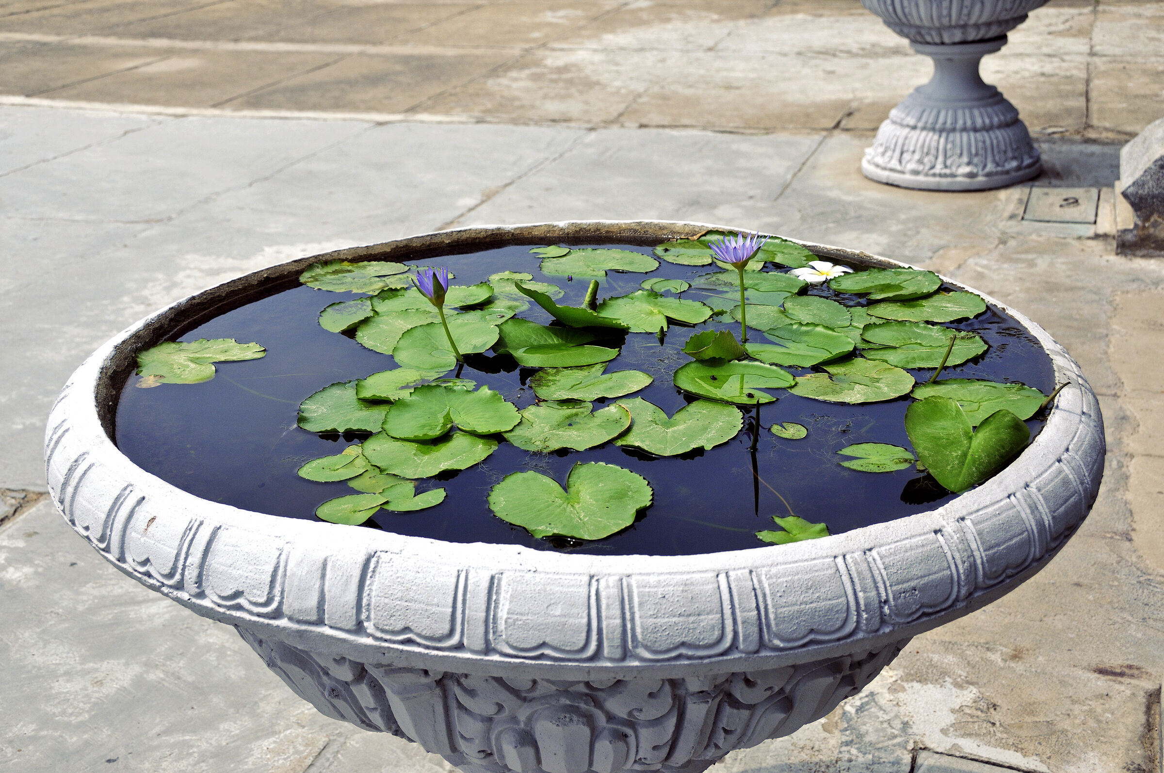 phnom penh - königspalast (32)