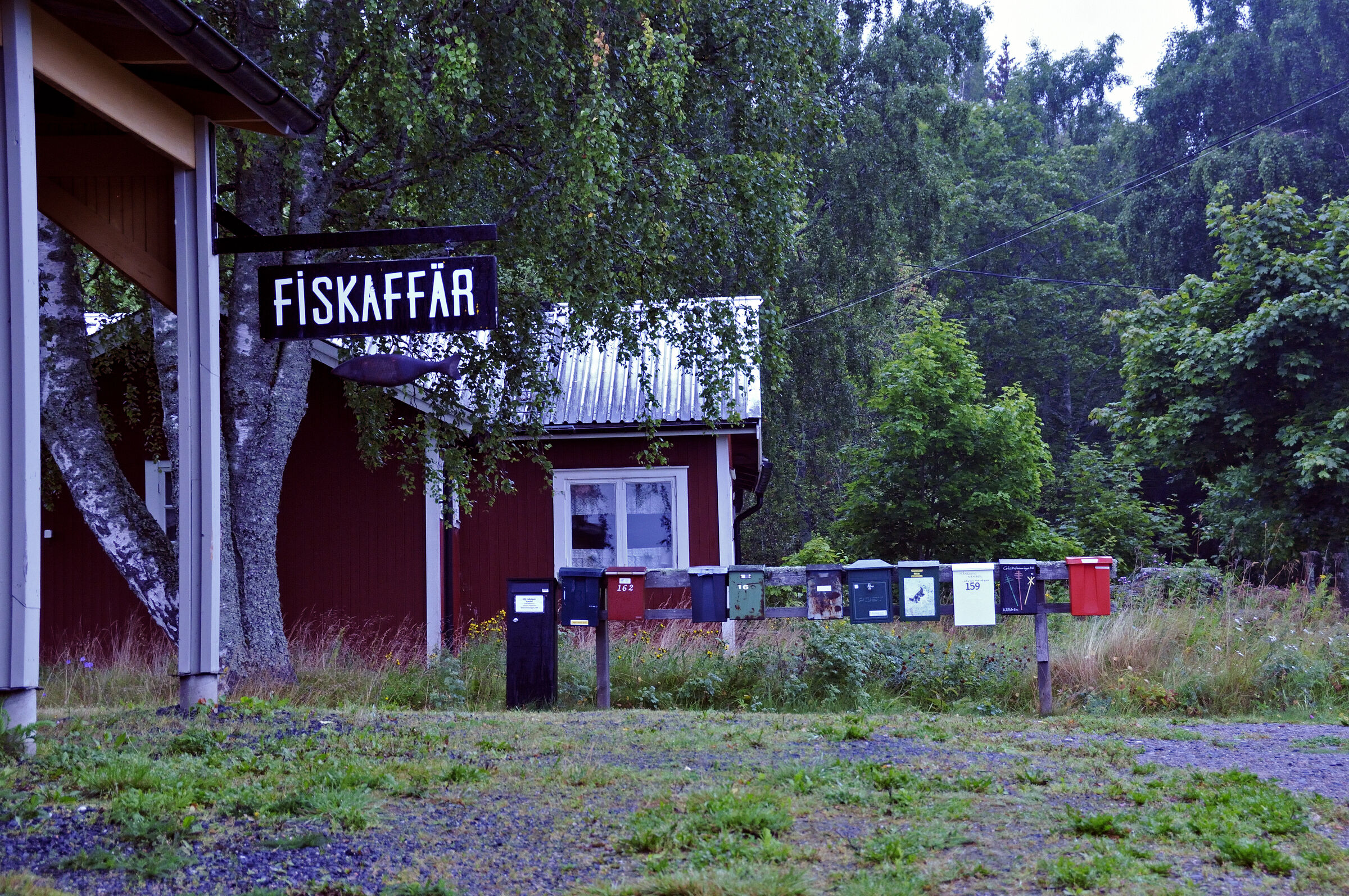 schweden 2017 - (66) fiskaffär