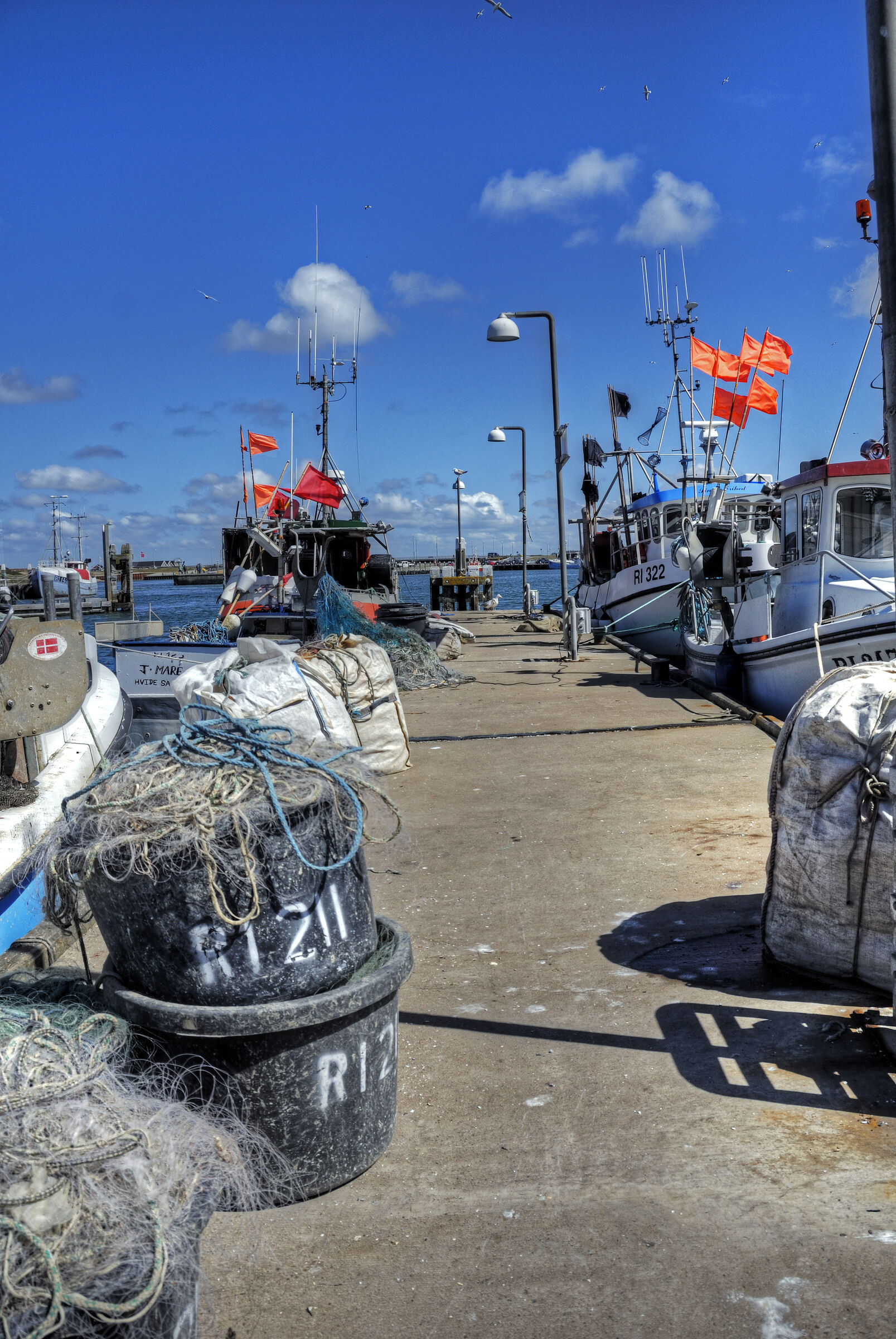 dänemark - ringkobing fjord - hvide sande (10)