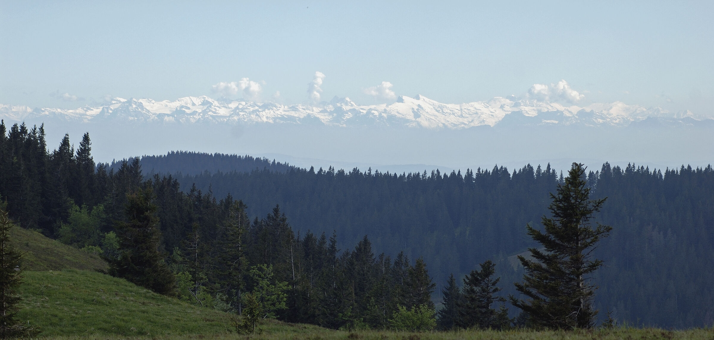 schwarzwald (7) - fernblick