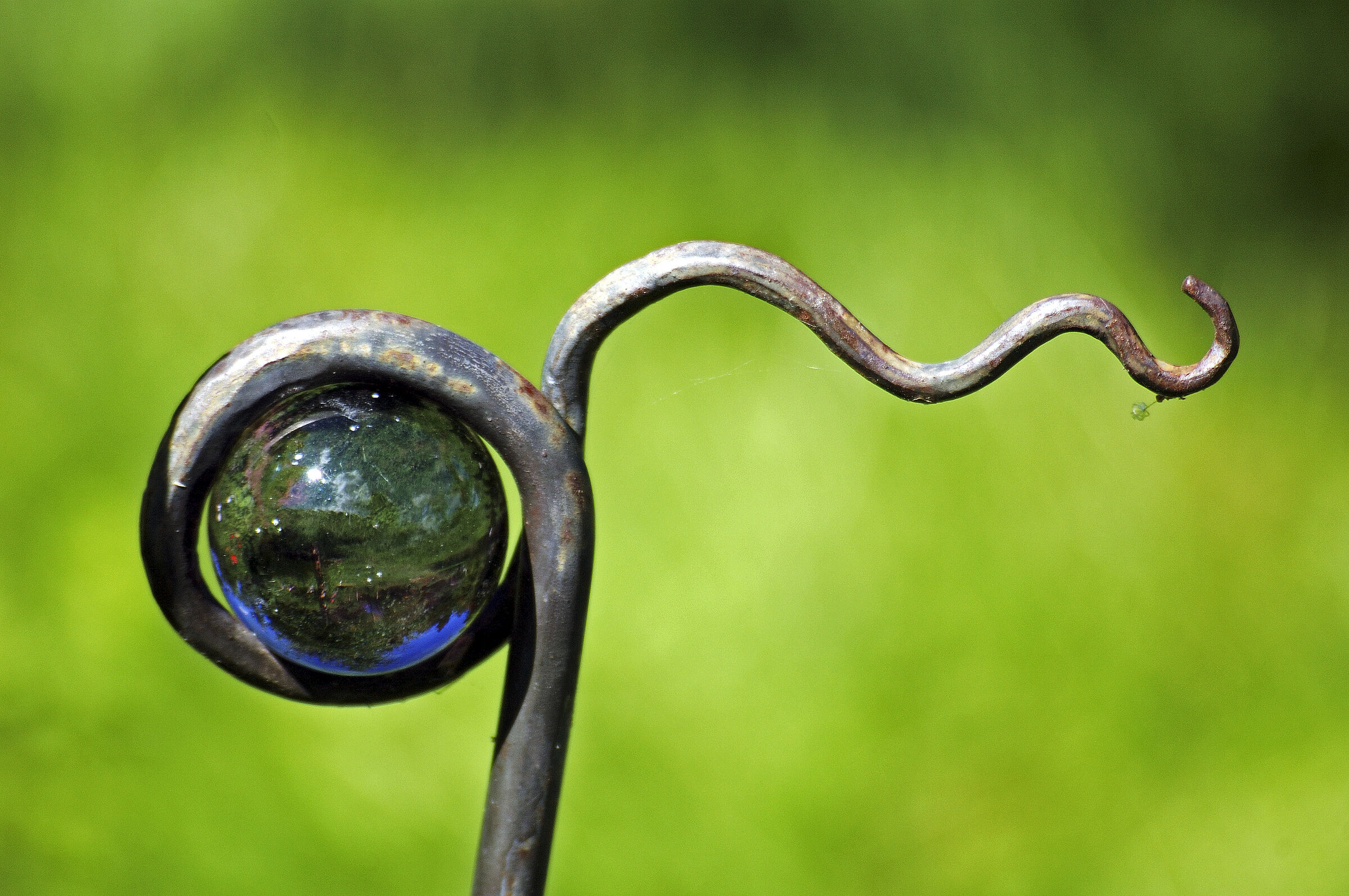 im garten (21)