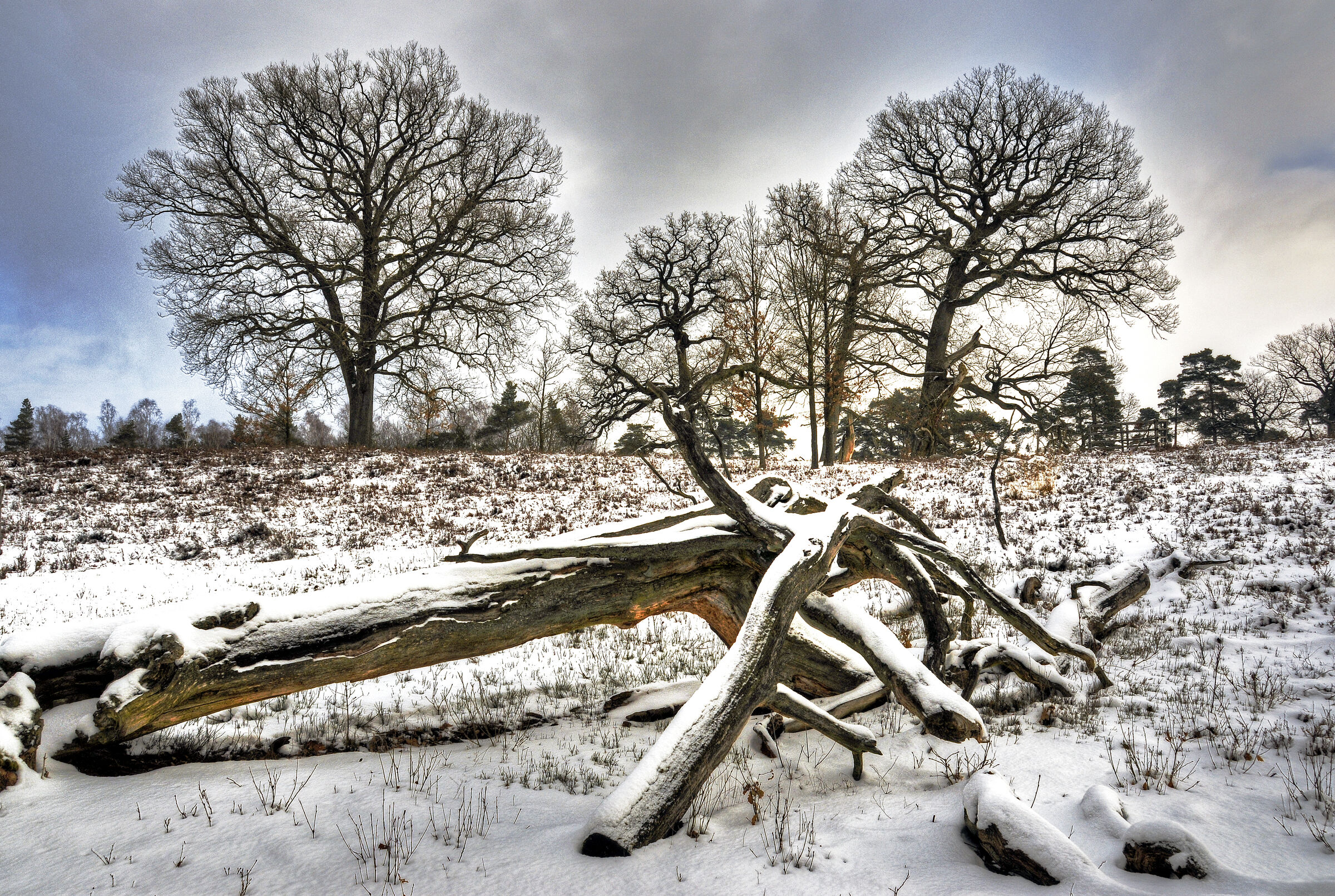 wendland - breeser grund - bild nr. 06