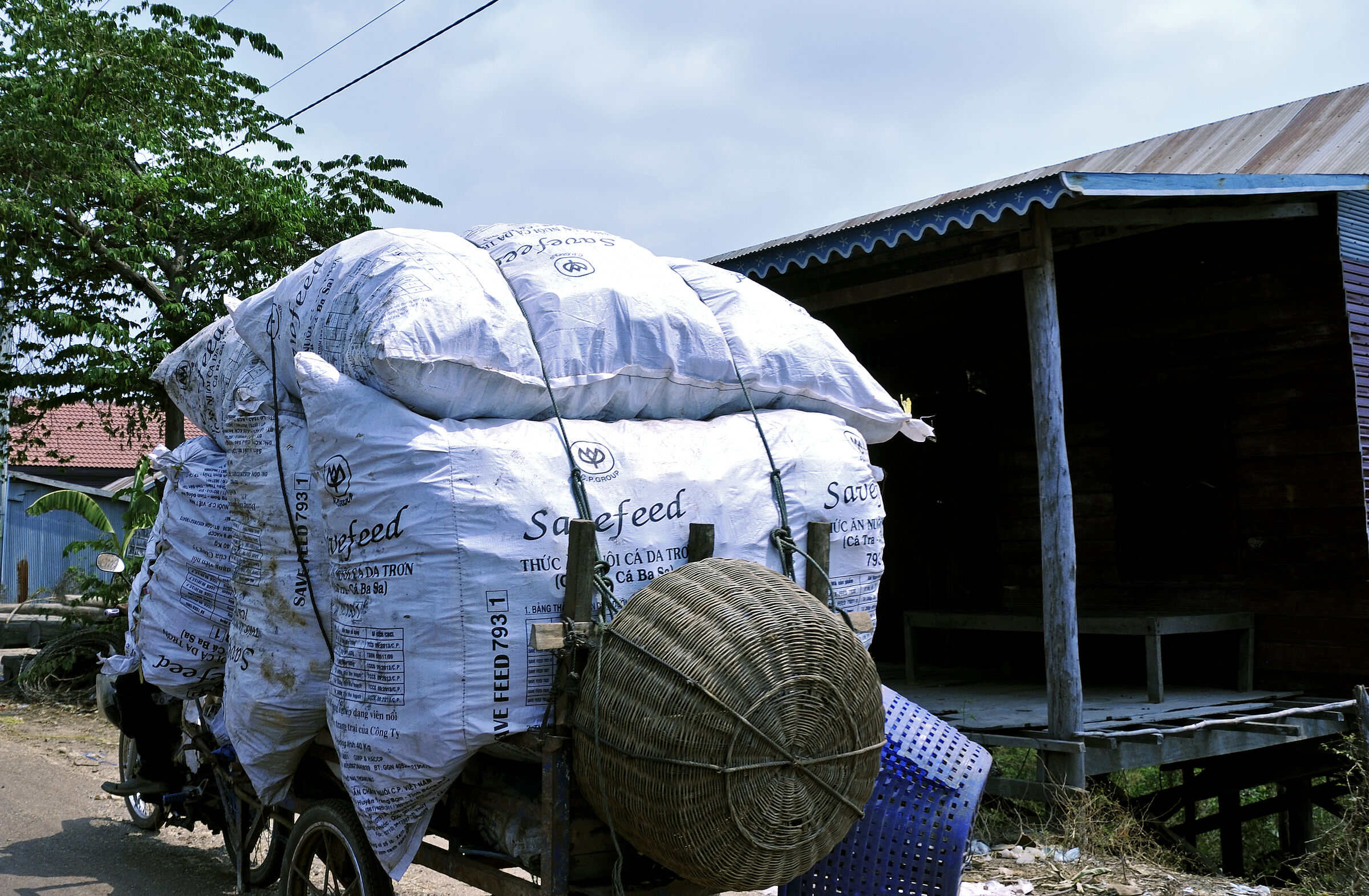 siem reap (22) - unterwegs