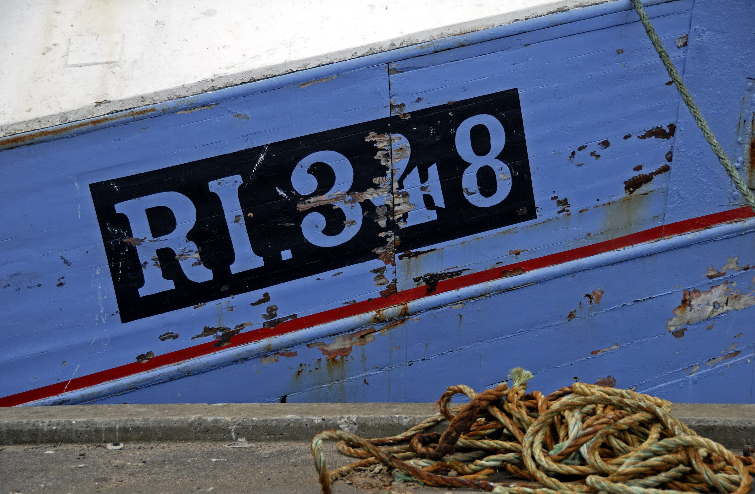 dänemark - ringkobing fjord - hvide sande (07)