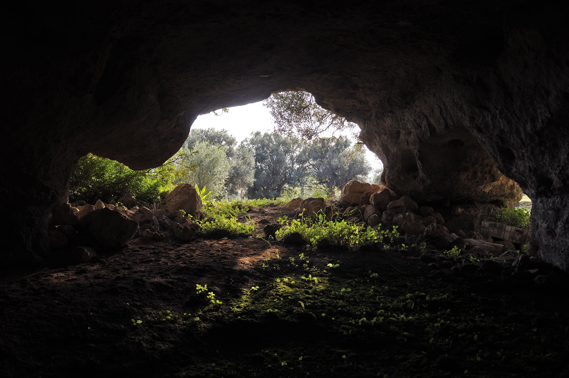der blick heraus - kurz vor grottaglie 2015 (03)