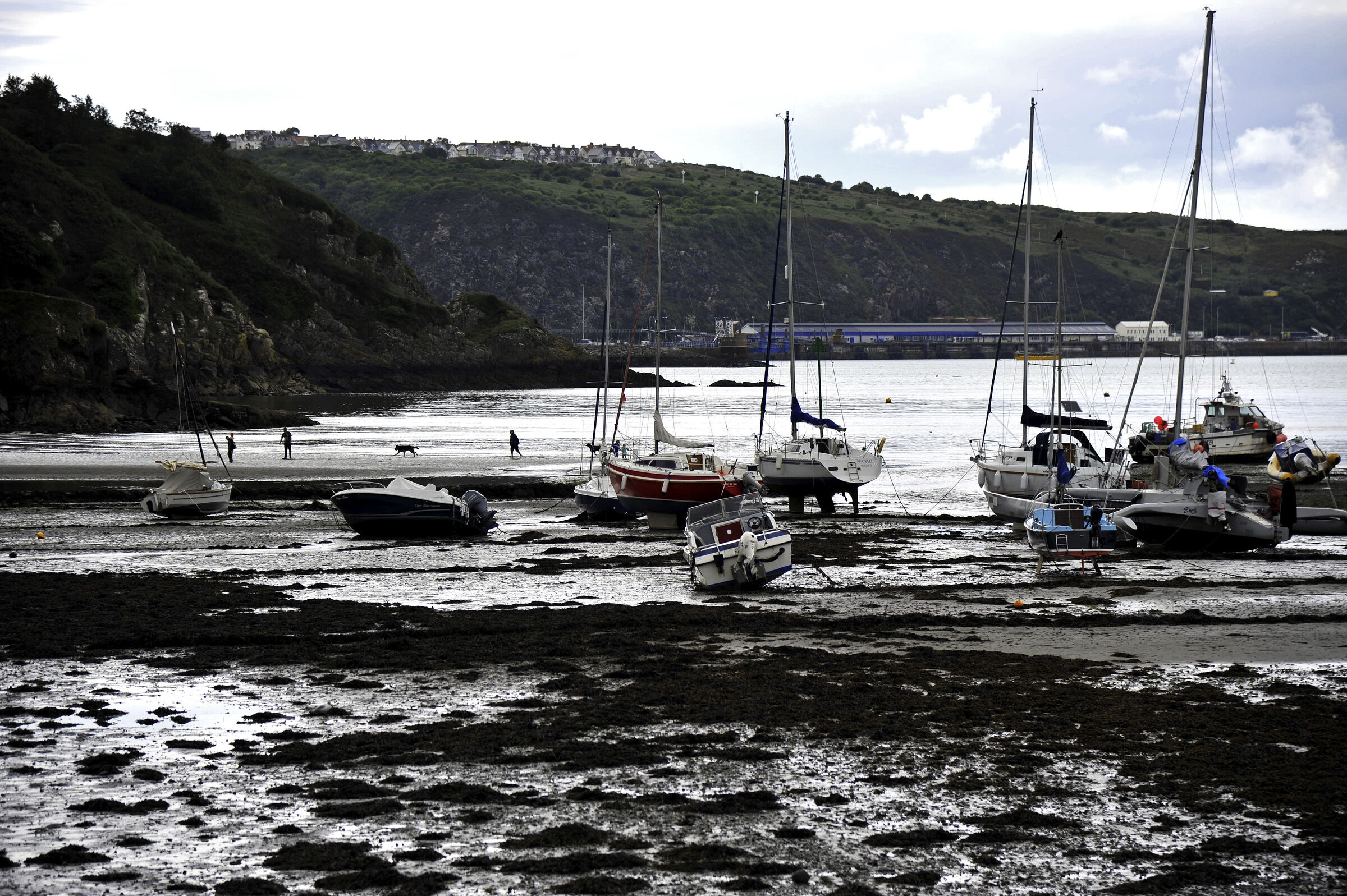 wales – fishguard goodwick (04)