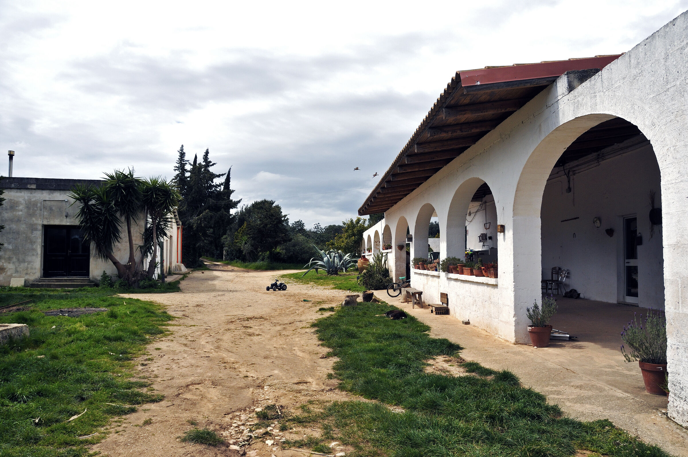 vor`m haus  - urupia 2015 (06)