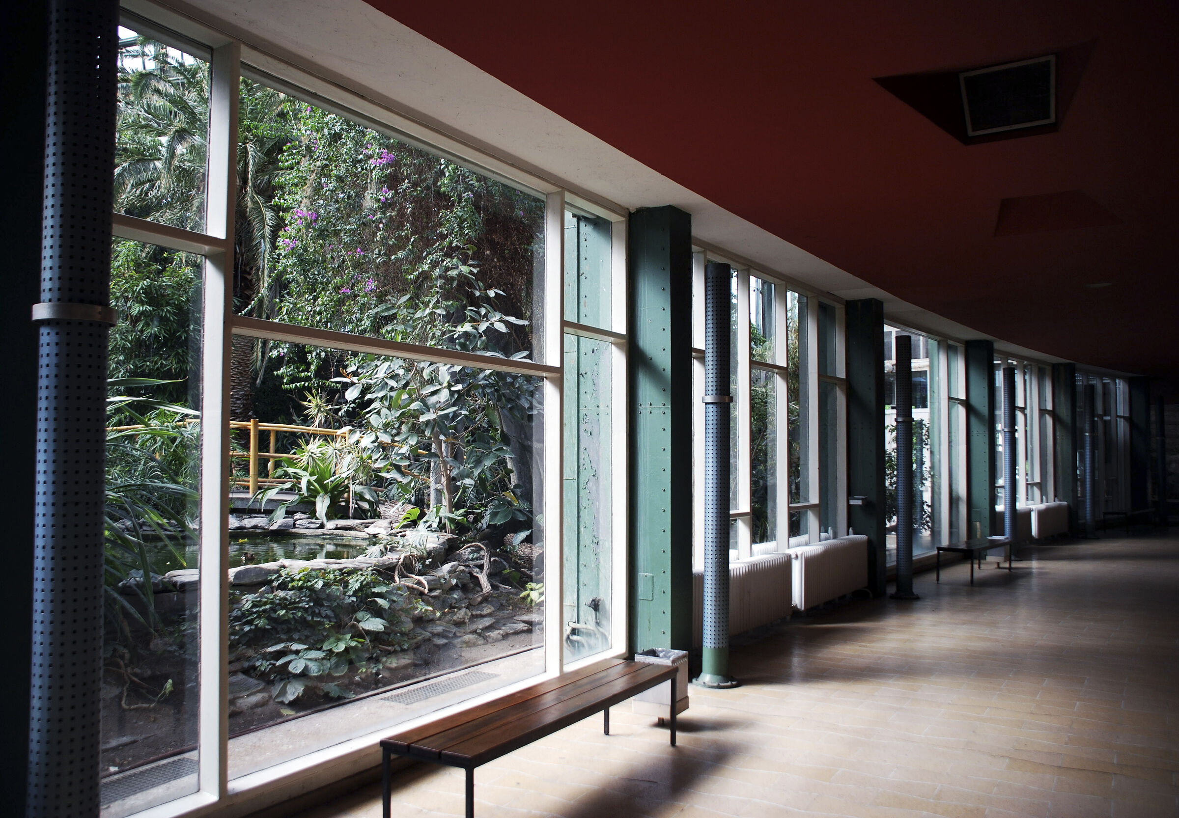 berlin - friedrichsfelde - tierpark