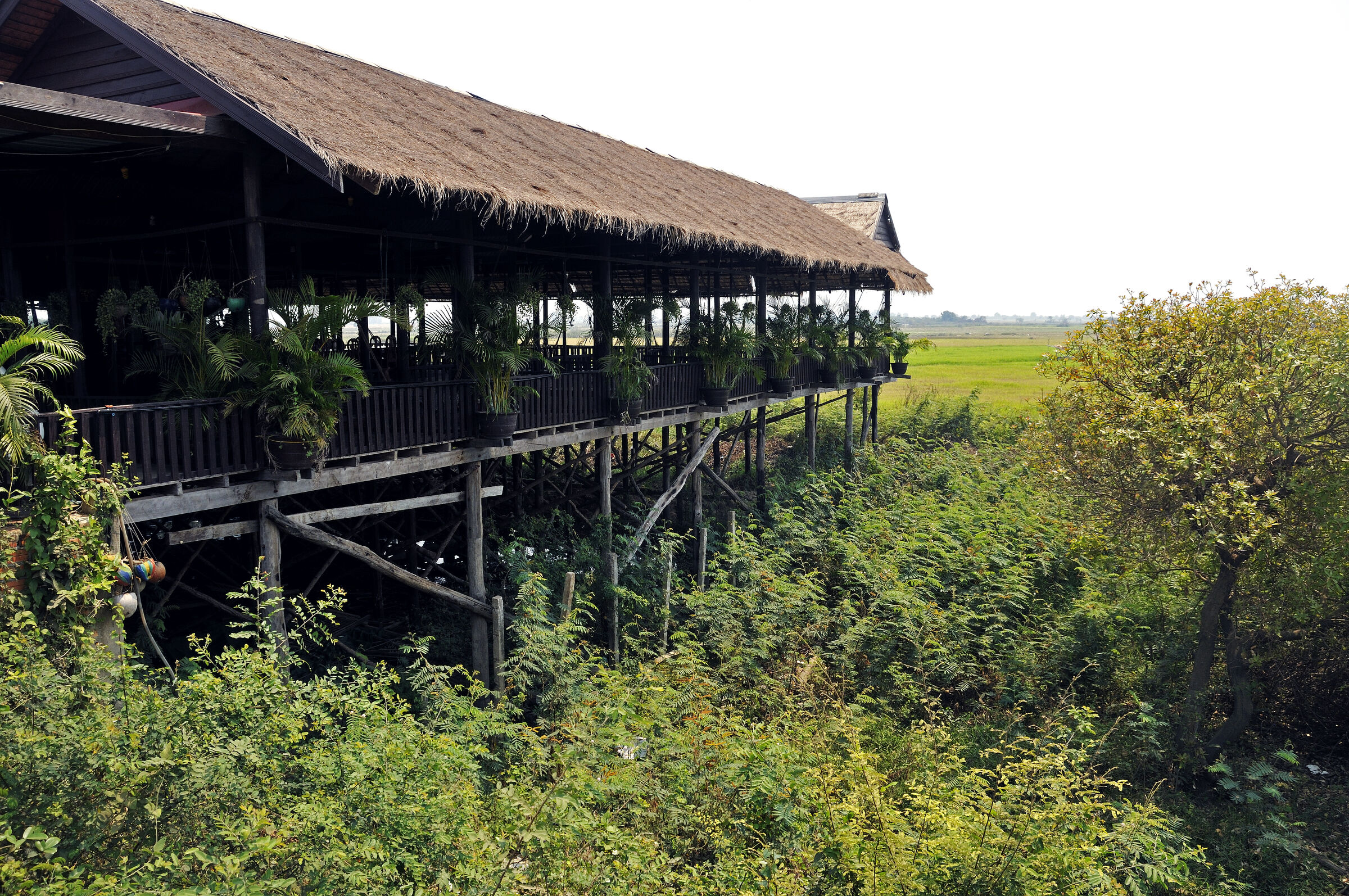 siem reap- unterwegs nach phnom krom (15)