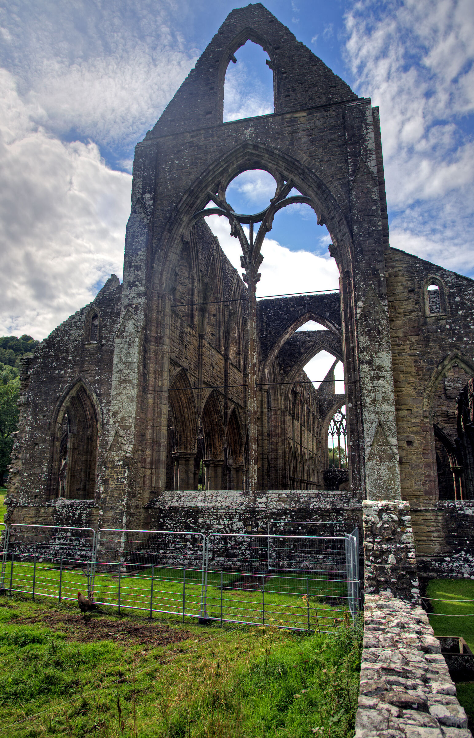 wales – tintern abbey (11)