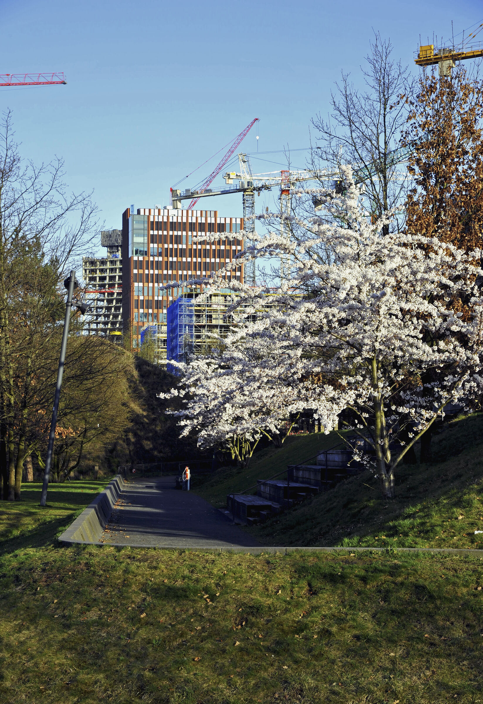 hamburg 2025 - hafencity (15)