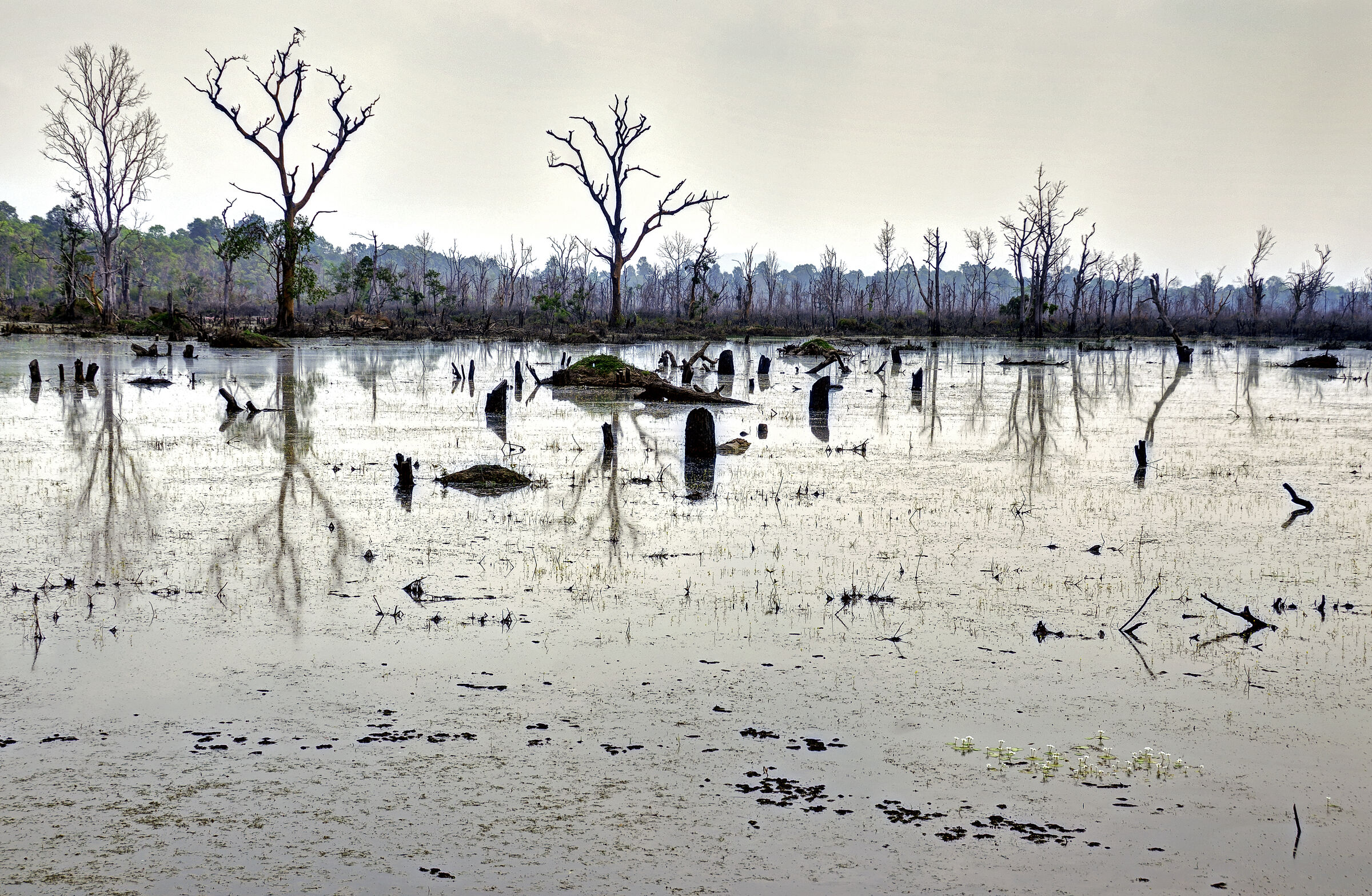 kambodscha - tempel von anghor - - nördlicher baray (11)