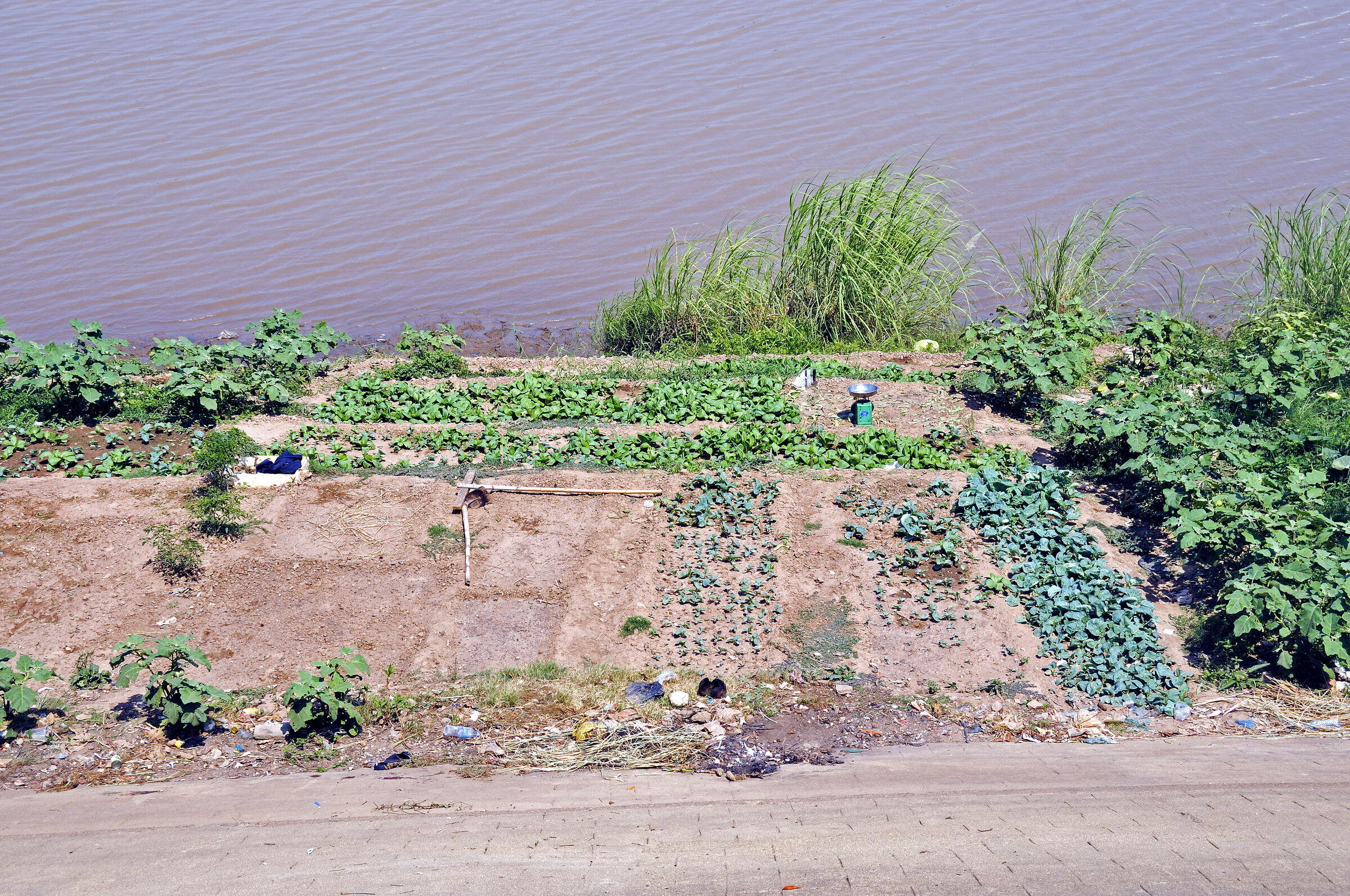 phnom penh - am fluss (12)