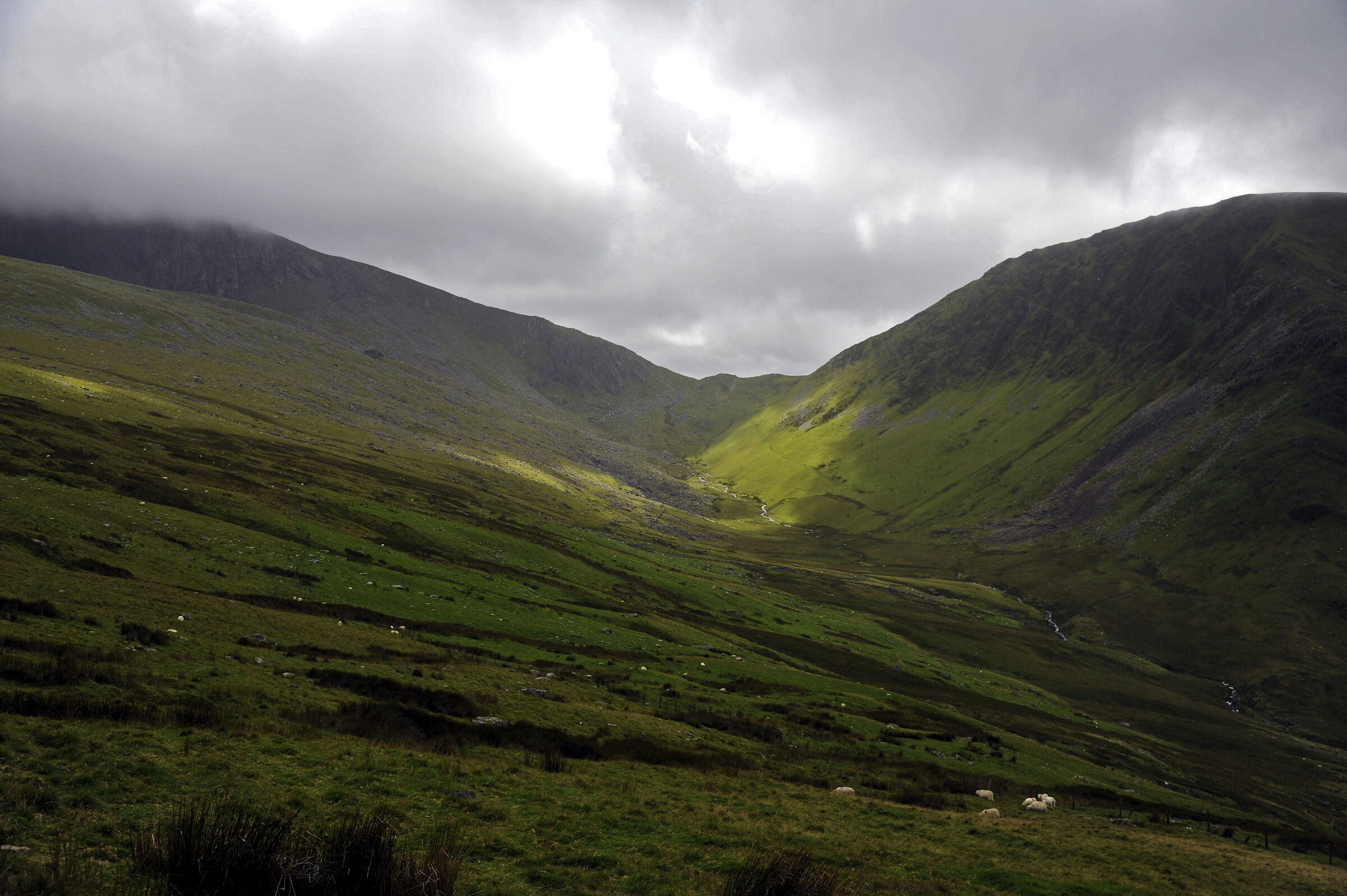 wales – snowdon (12)