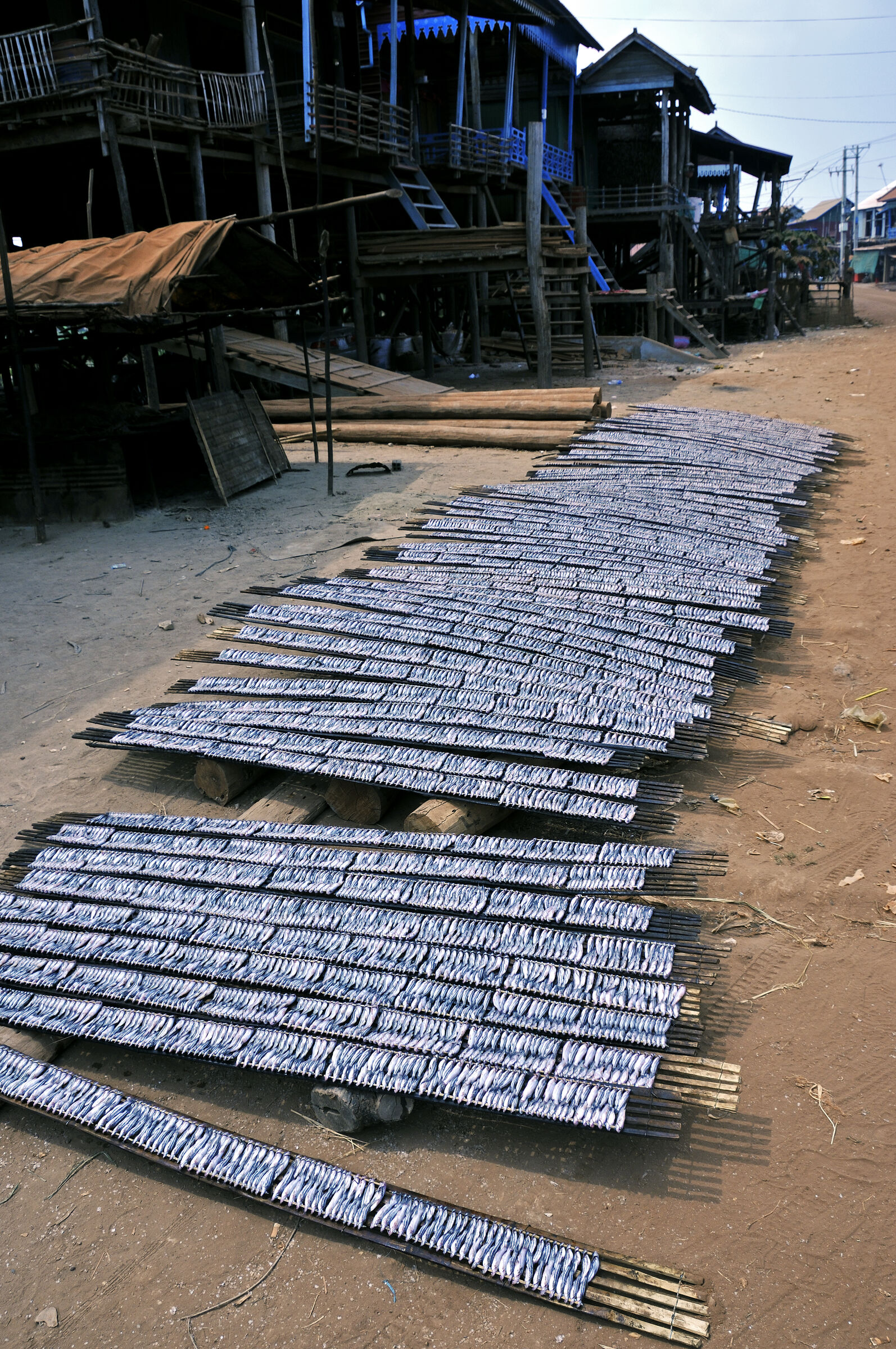 siem reap (66) – kampong khleang