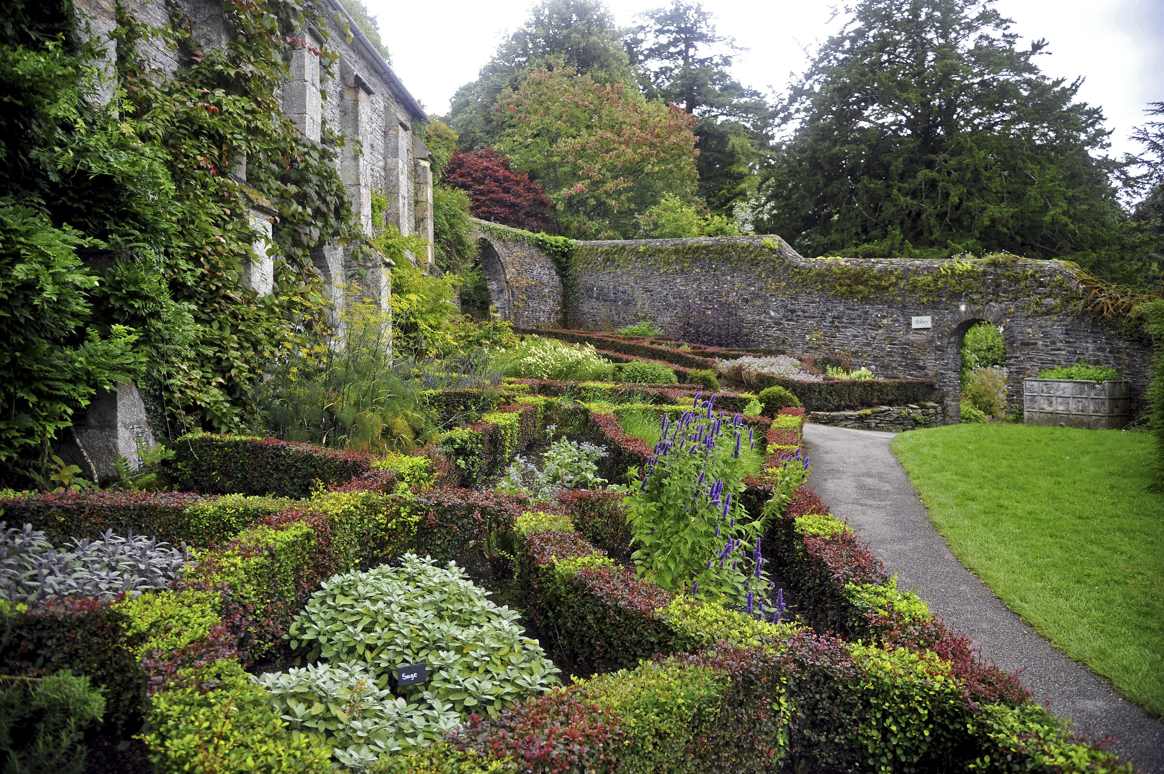 england – buckland abbey (03)