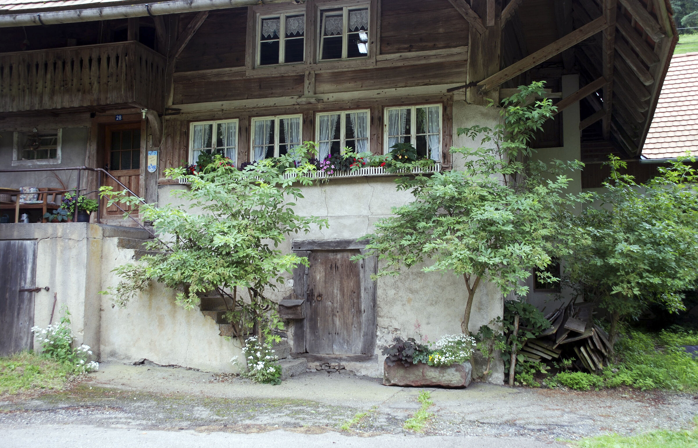 schwarzwald