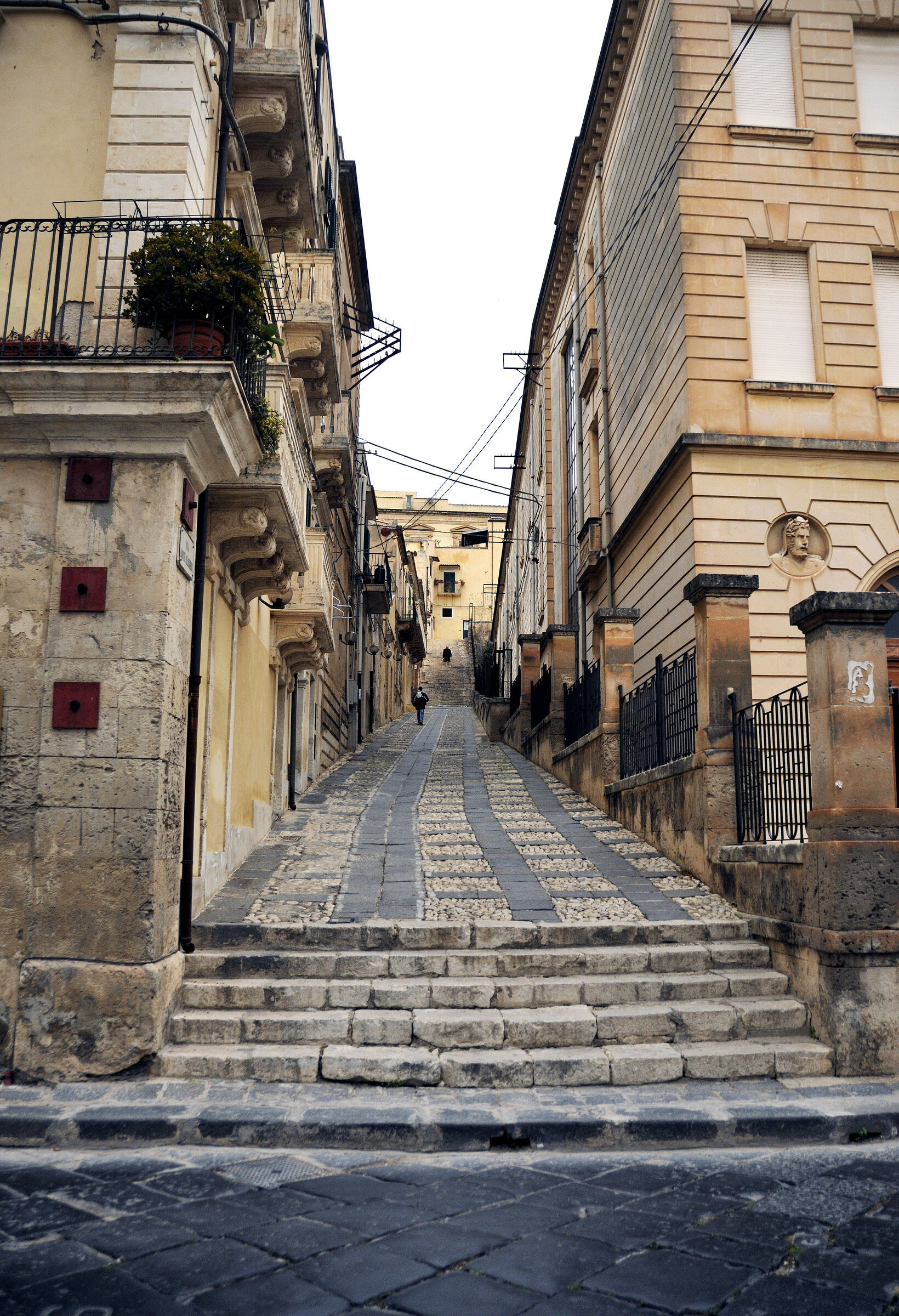 noto 2015 (12)