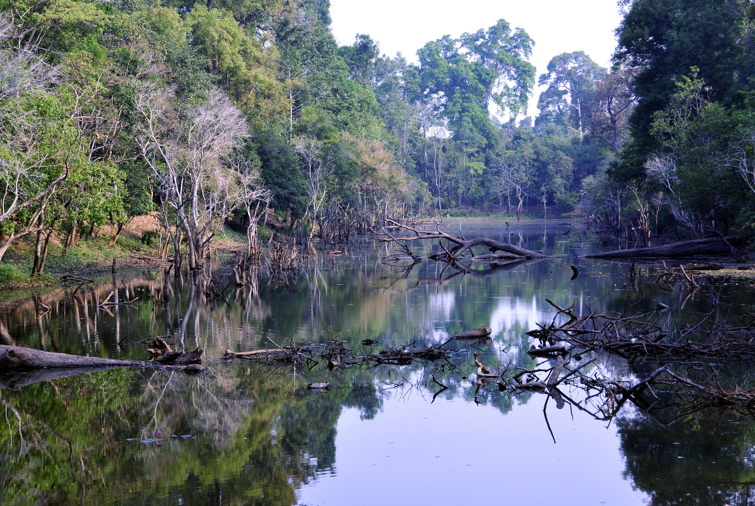 kambodscha - tempel von anghor - preak khan (16)