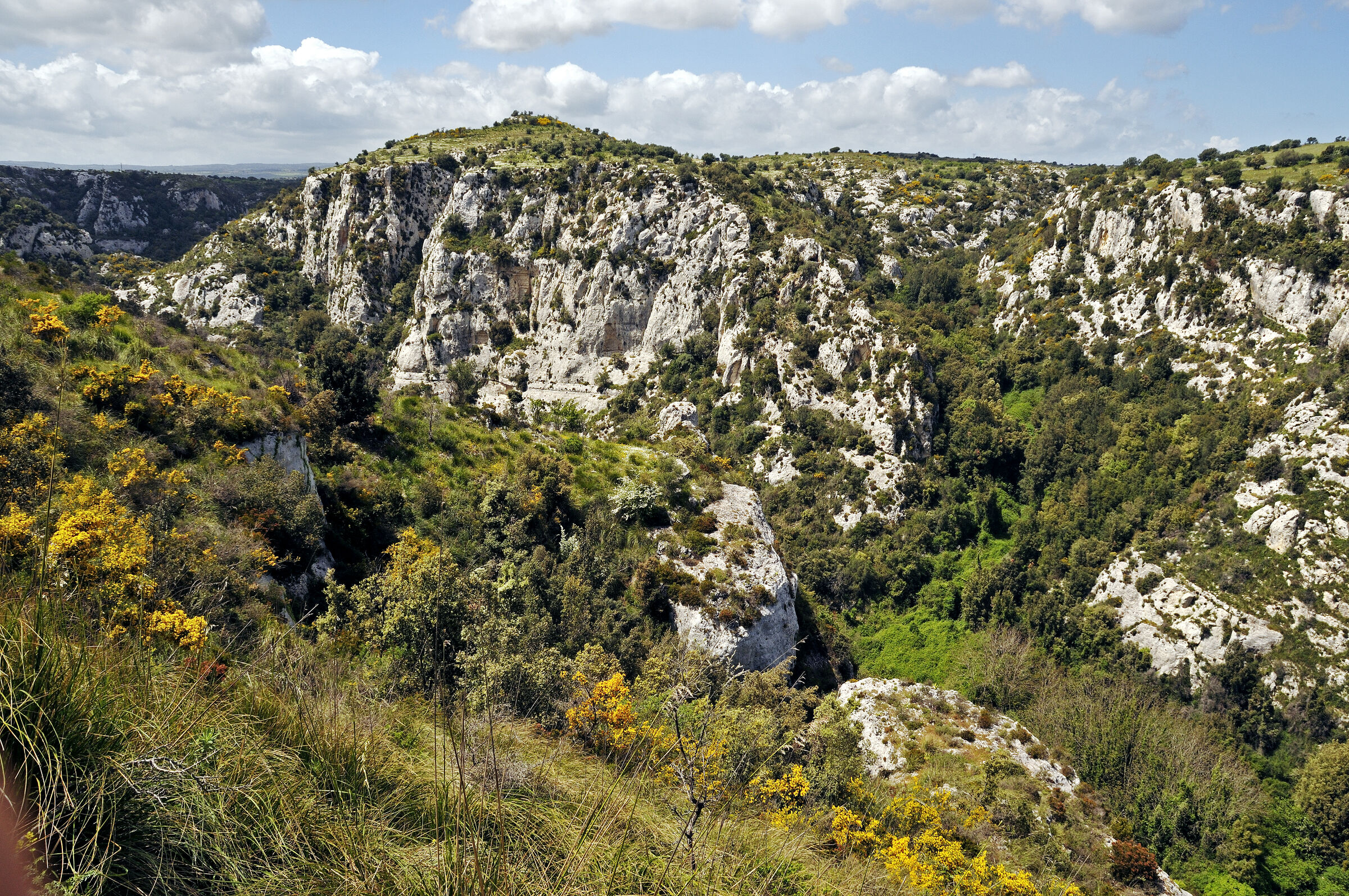 laghetti carrubella an der cava grande del cassibilie 2015 (02)