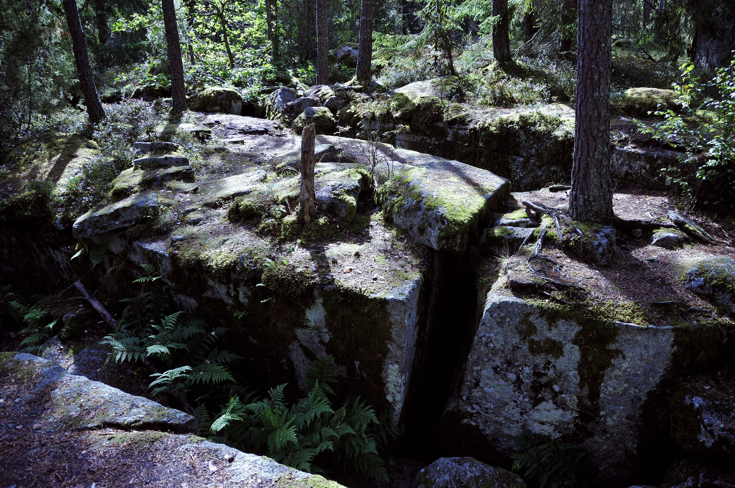 schweden 2017 - (137)