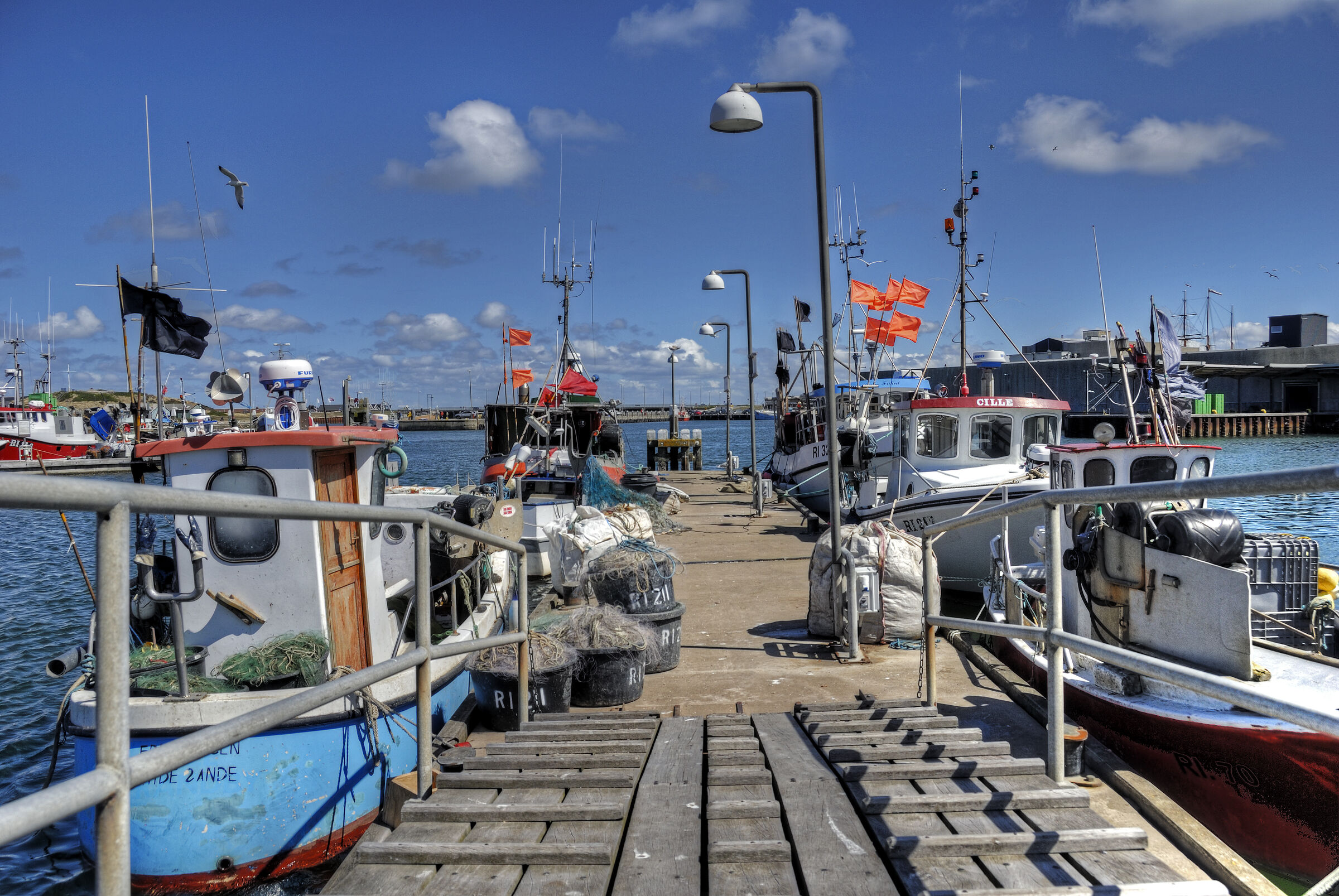 dänemark - ringkobing fjord - hvide sande (09)