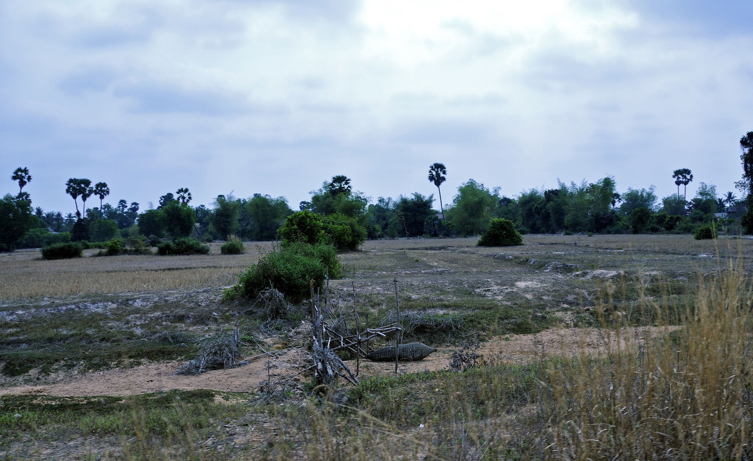 kambodscha - tempel von anghor - unterwegs (30)