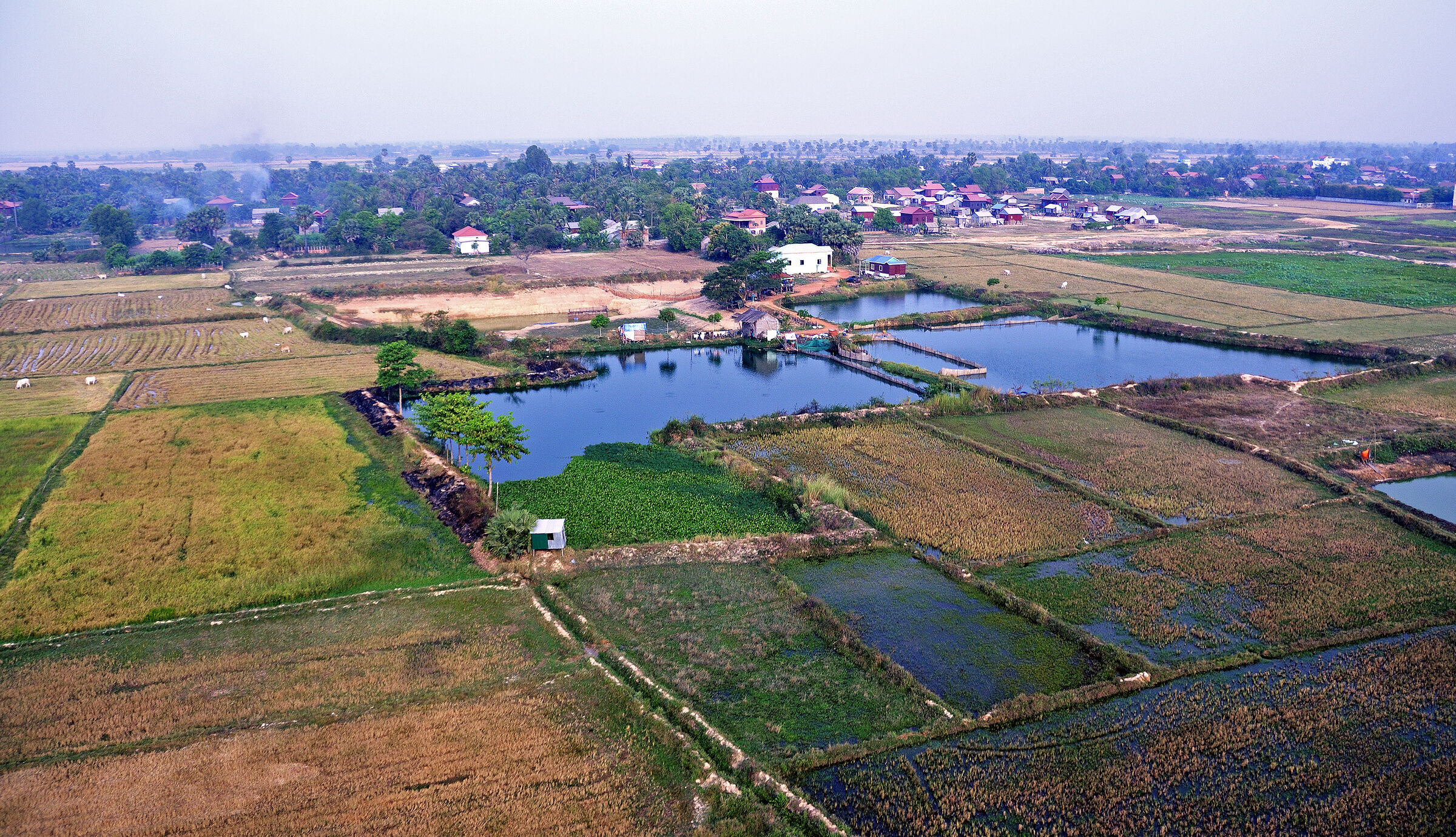Kambodscha - Flug über Siem Reap (09)