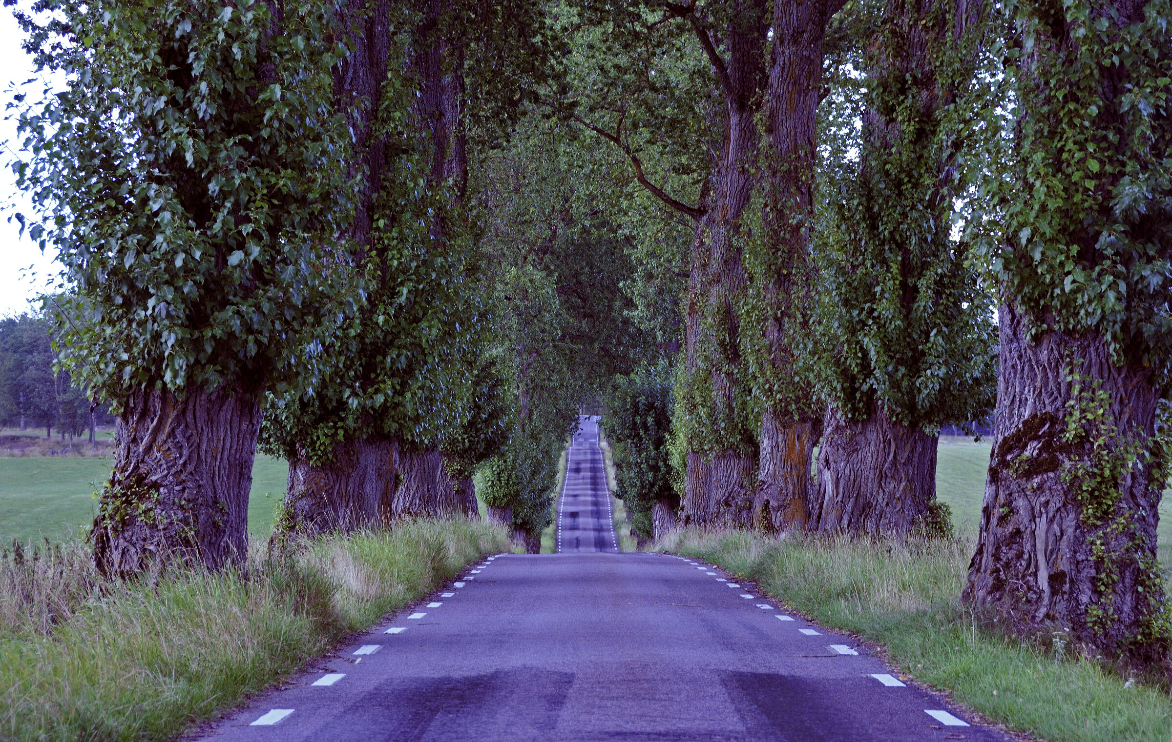 schweden 2017 - (127)