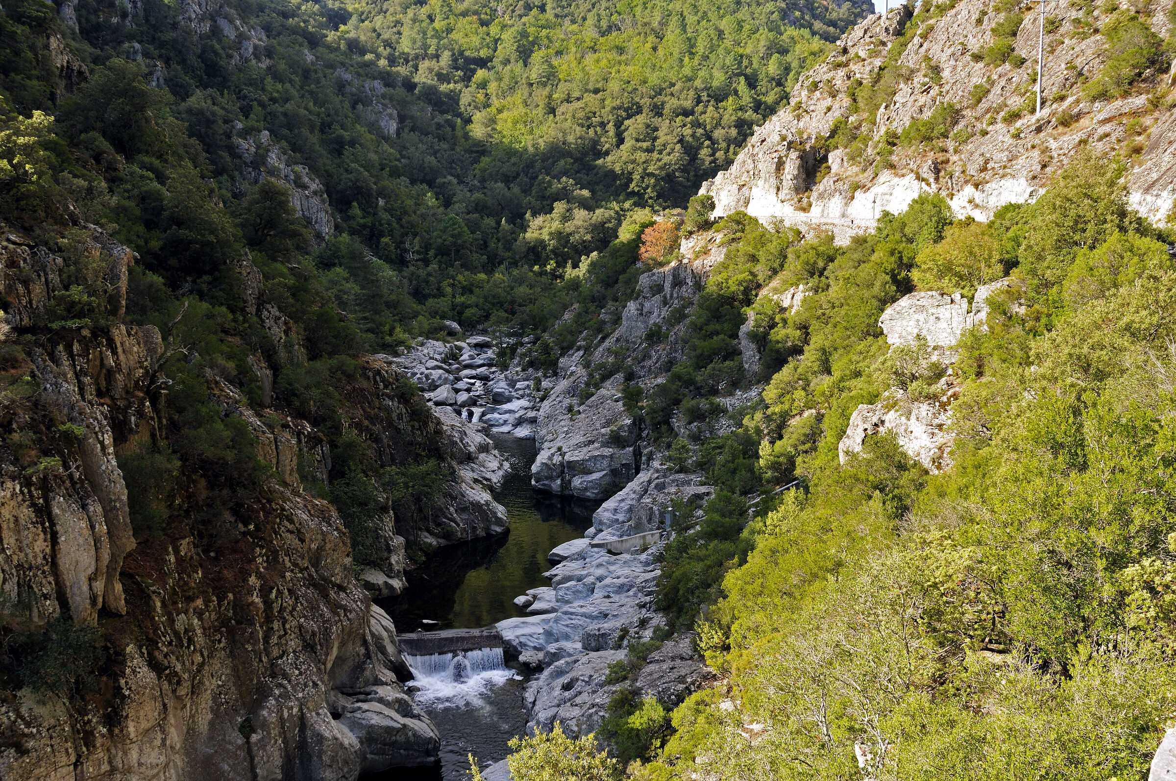 korsika - zwischen ghisoni und ghisonaccia - e strette teil 2