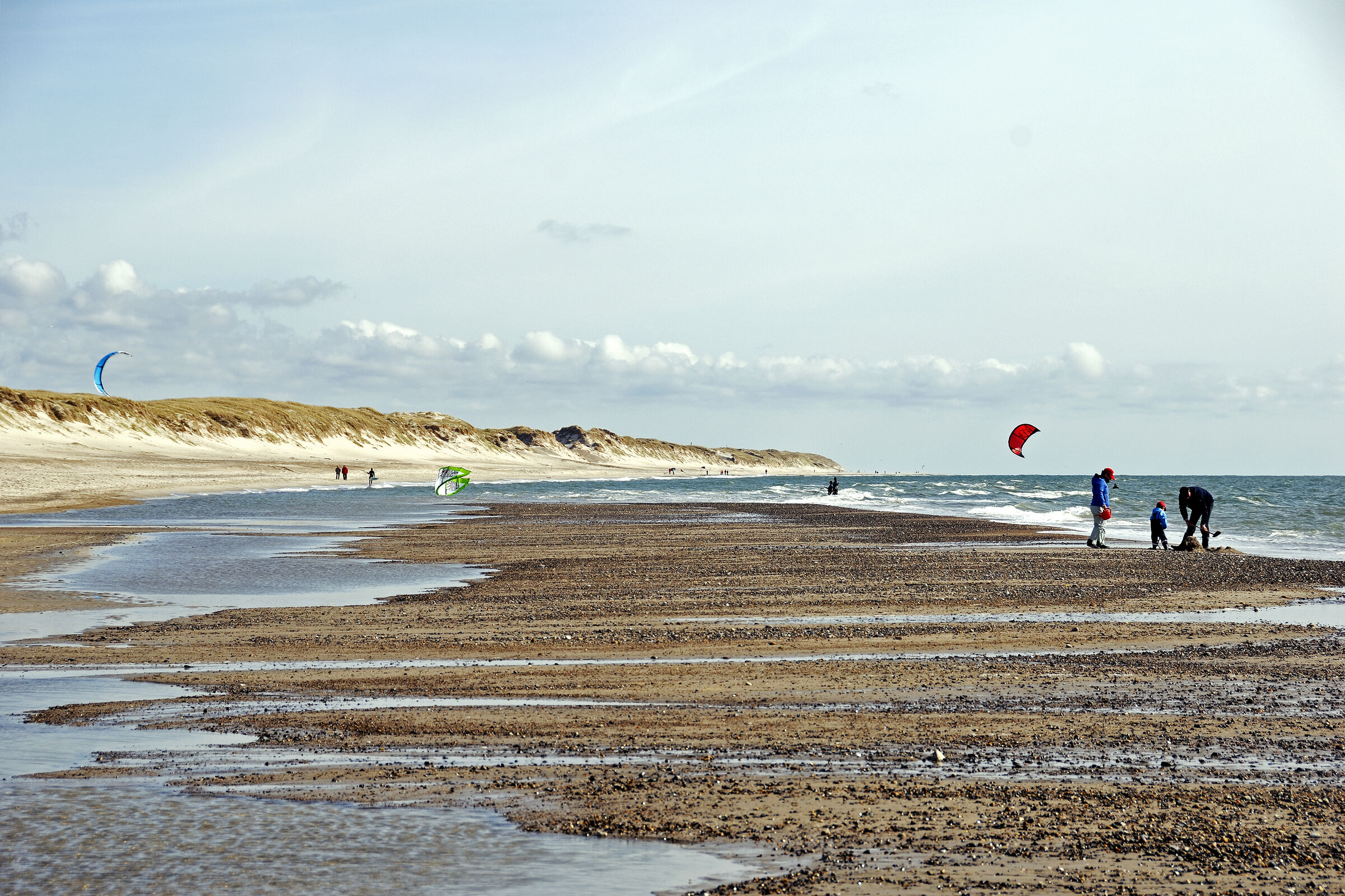 dänemark - ringkobing fjord - holmland klit - am meer (08)