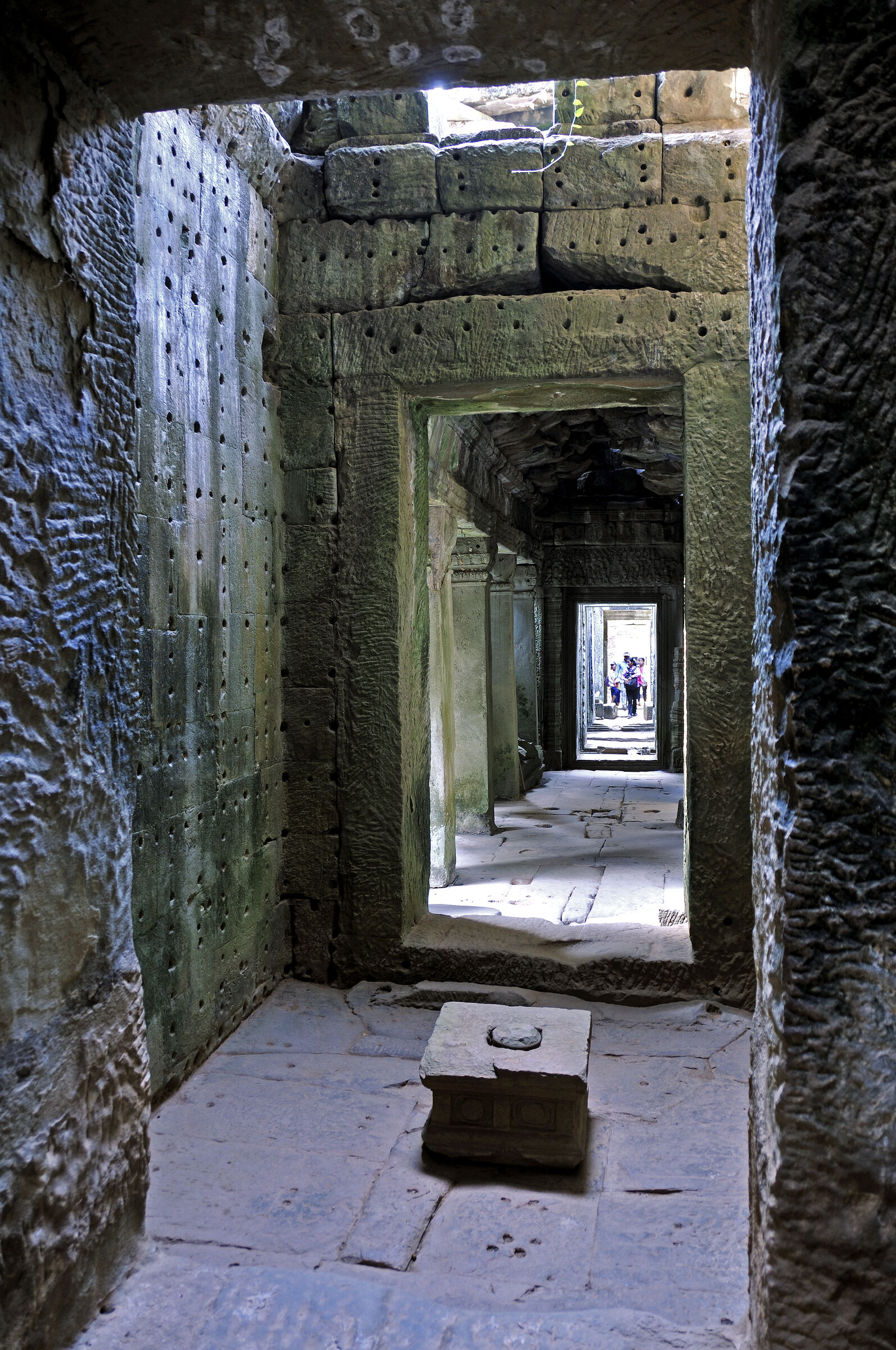 kambodscha - tempel von anghor - preak khan (45)