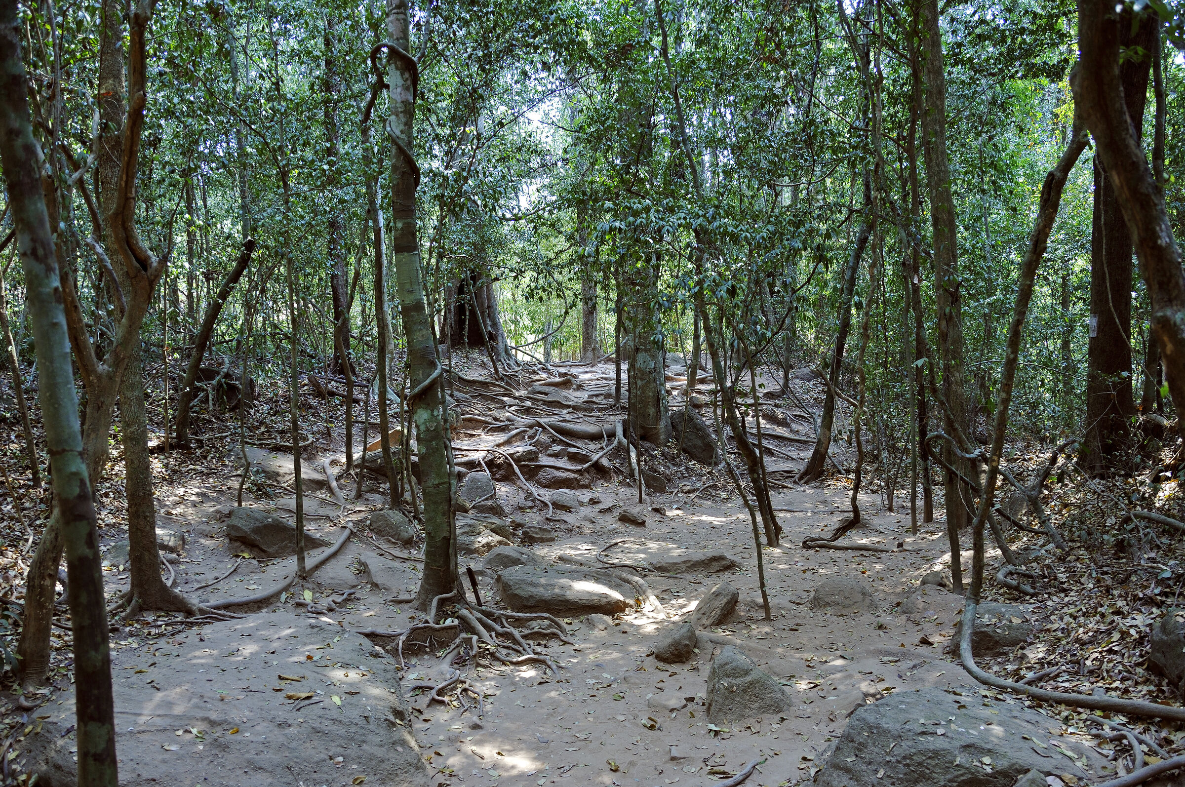 kambodscha - tempel von anghor - kbal spean (02)