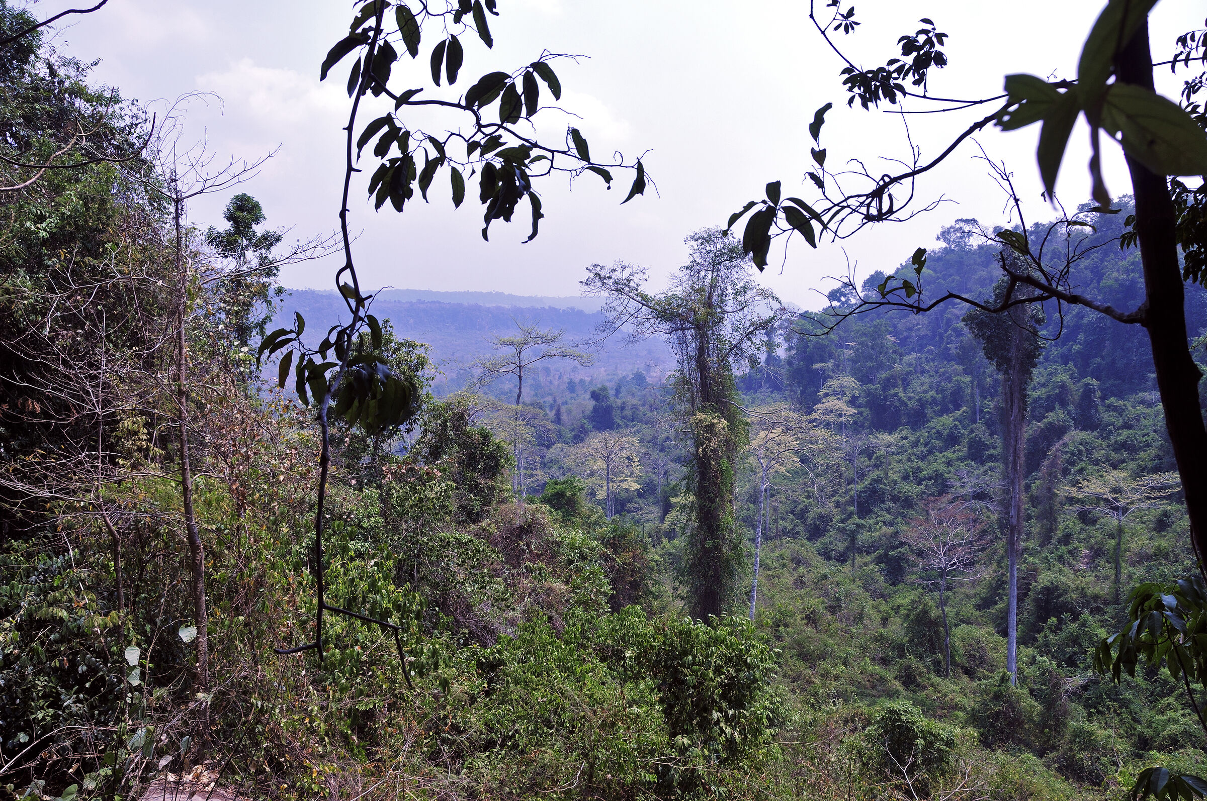 kambodscha - tempel von anghor - kbal spean (01)