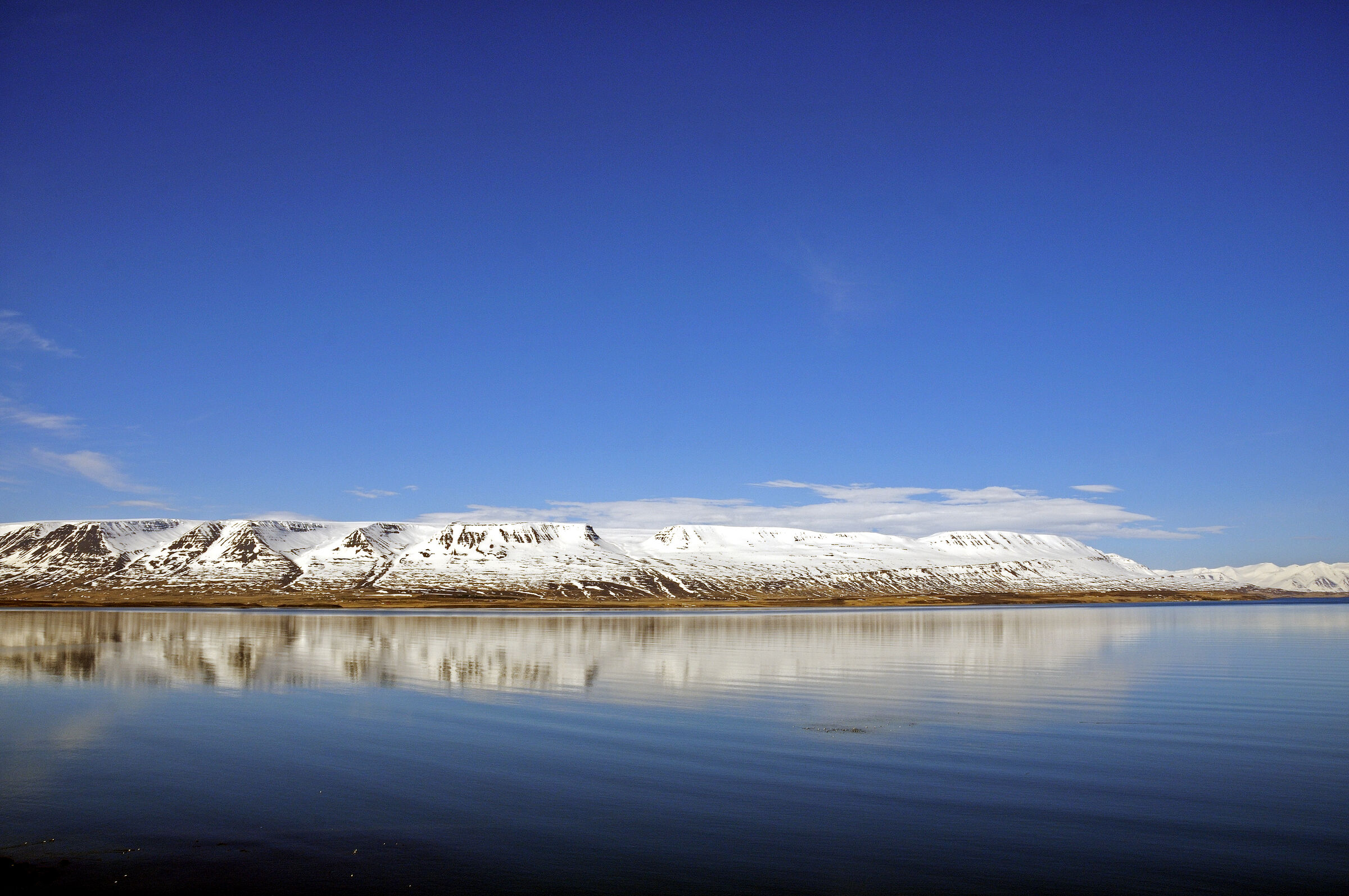 island – eyjafjördur (04)