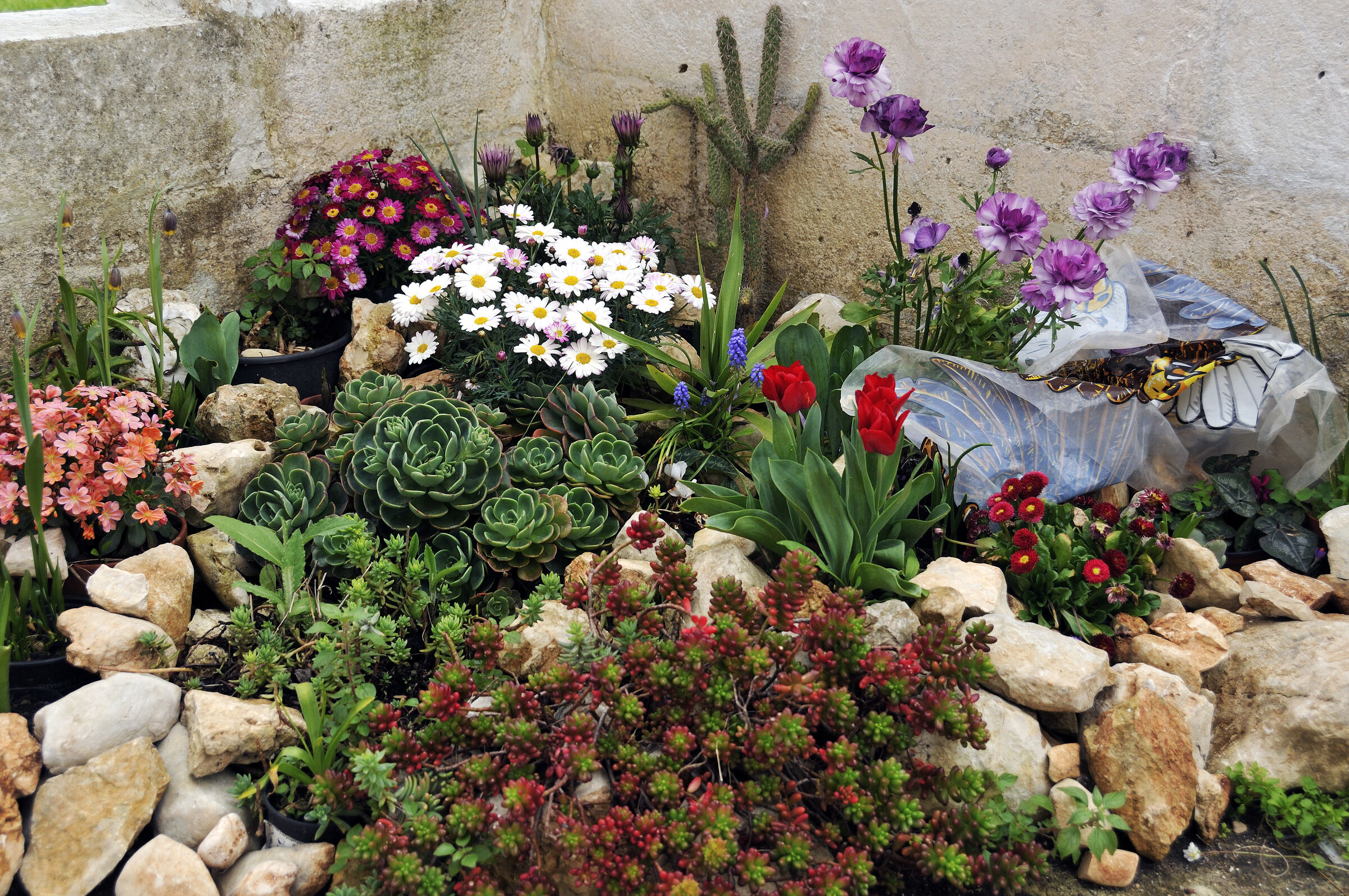 blumenbeet - urupia 2015 (05)