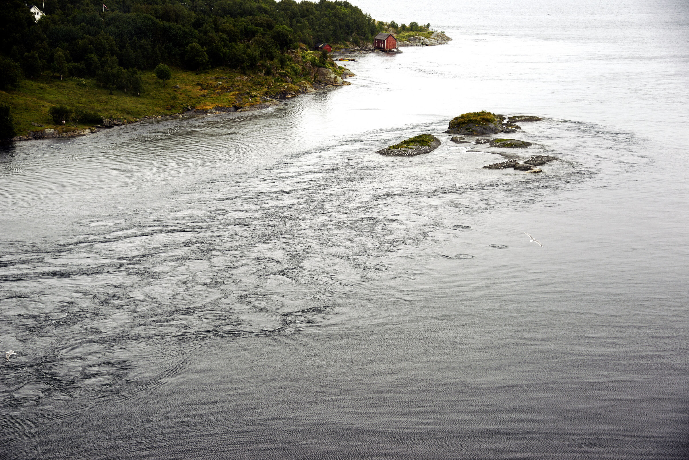 norwegen 2022 (93)