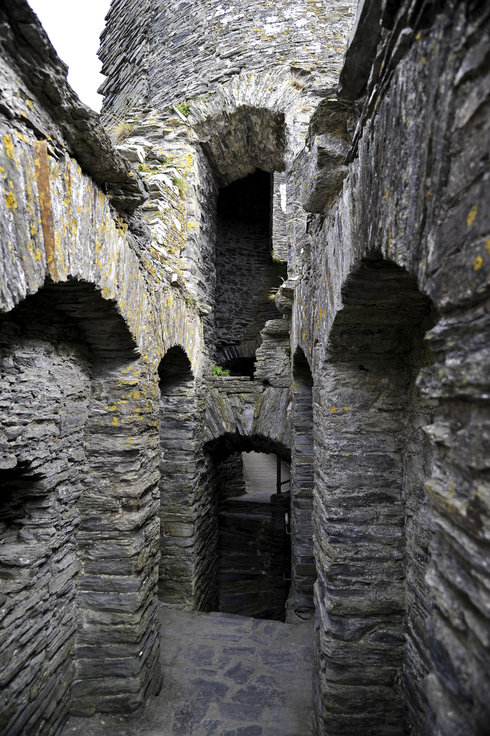 wales – cilgerran castle (08)