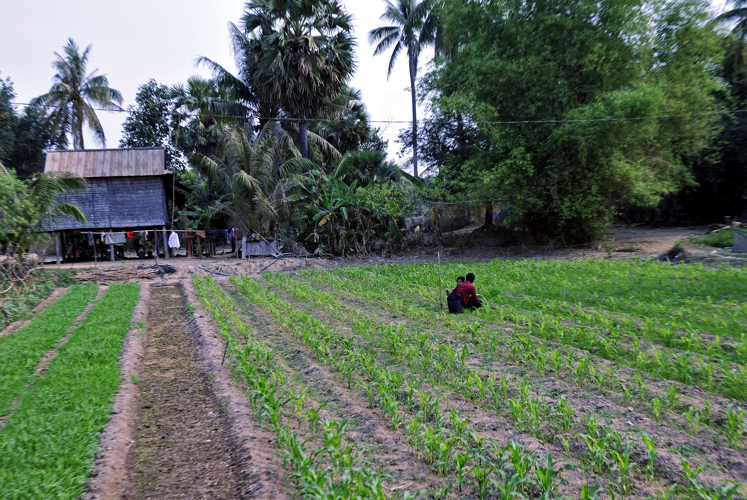 kambodscha - tempel von anghor - unterwegs (21)