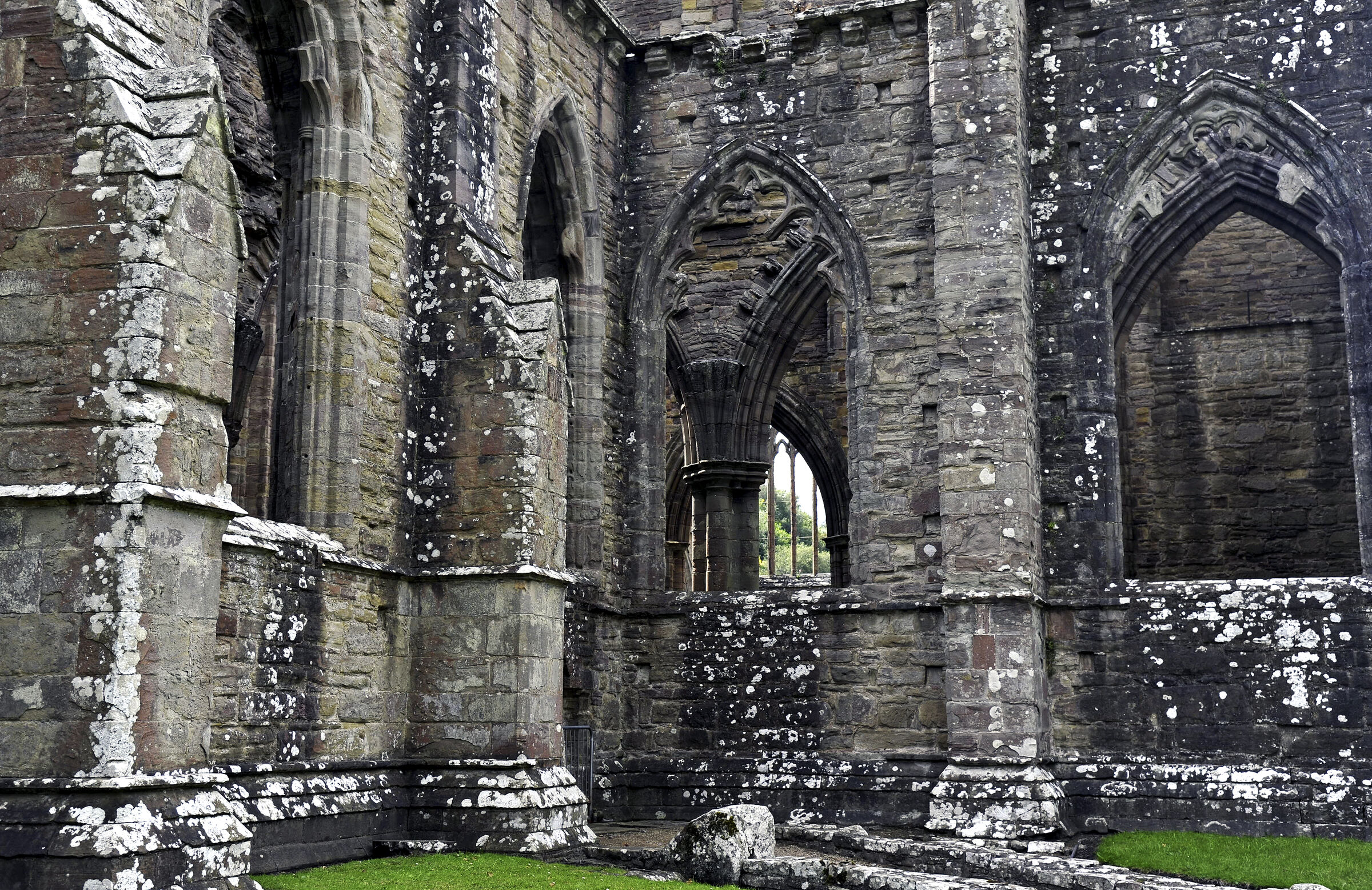 wales – tintern abbey (17)