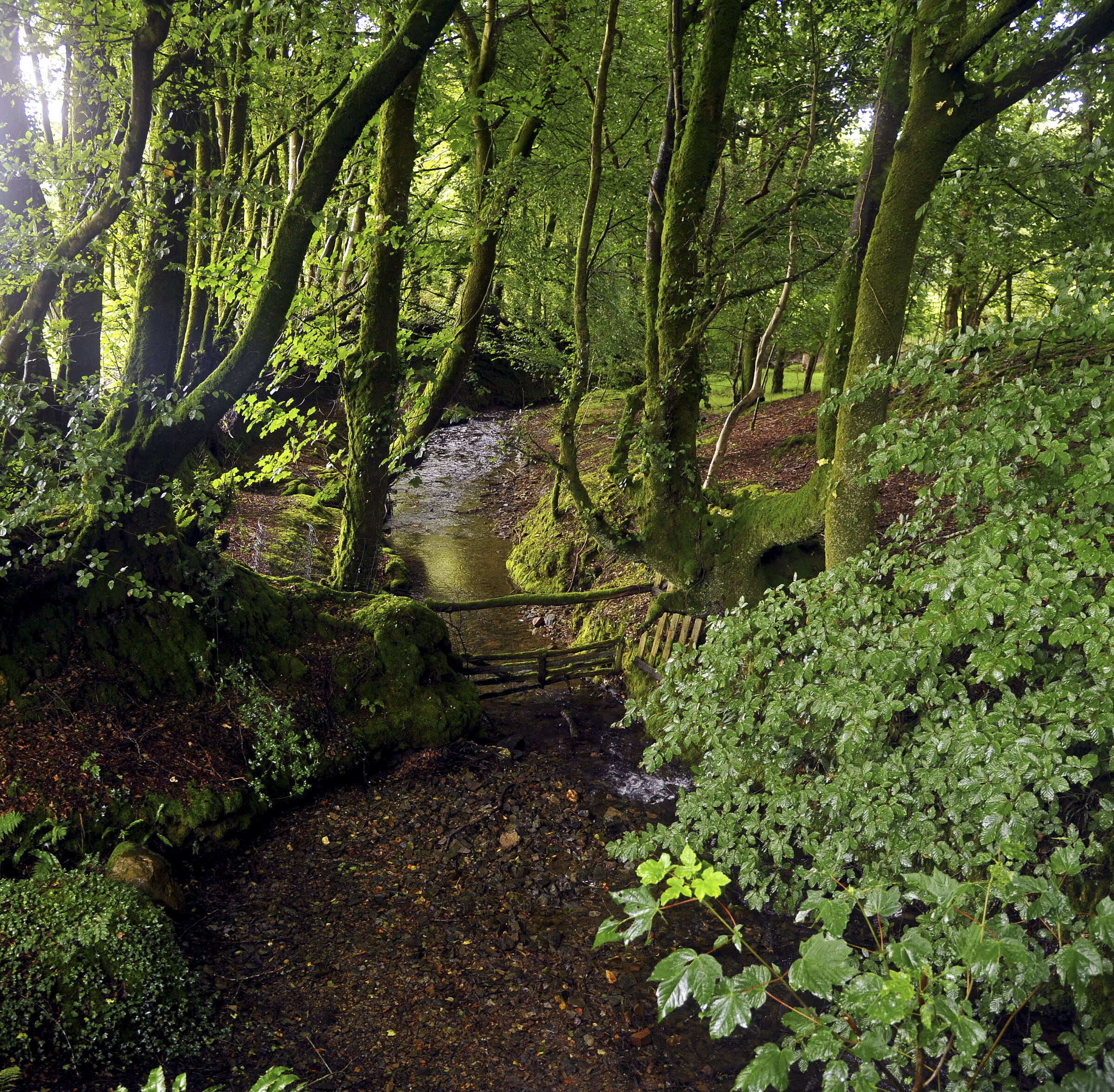 england – cornwall (14)