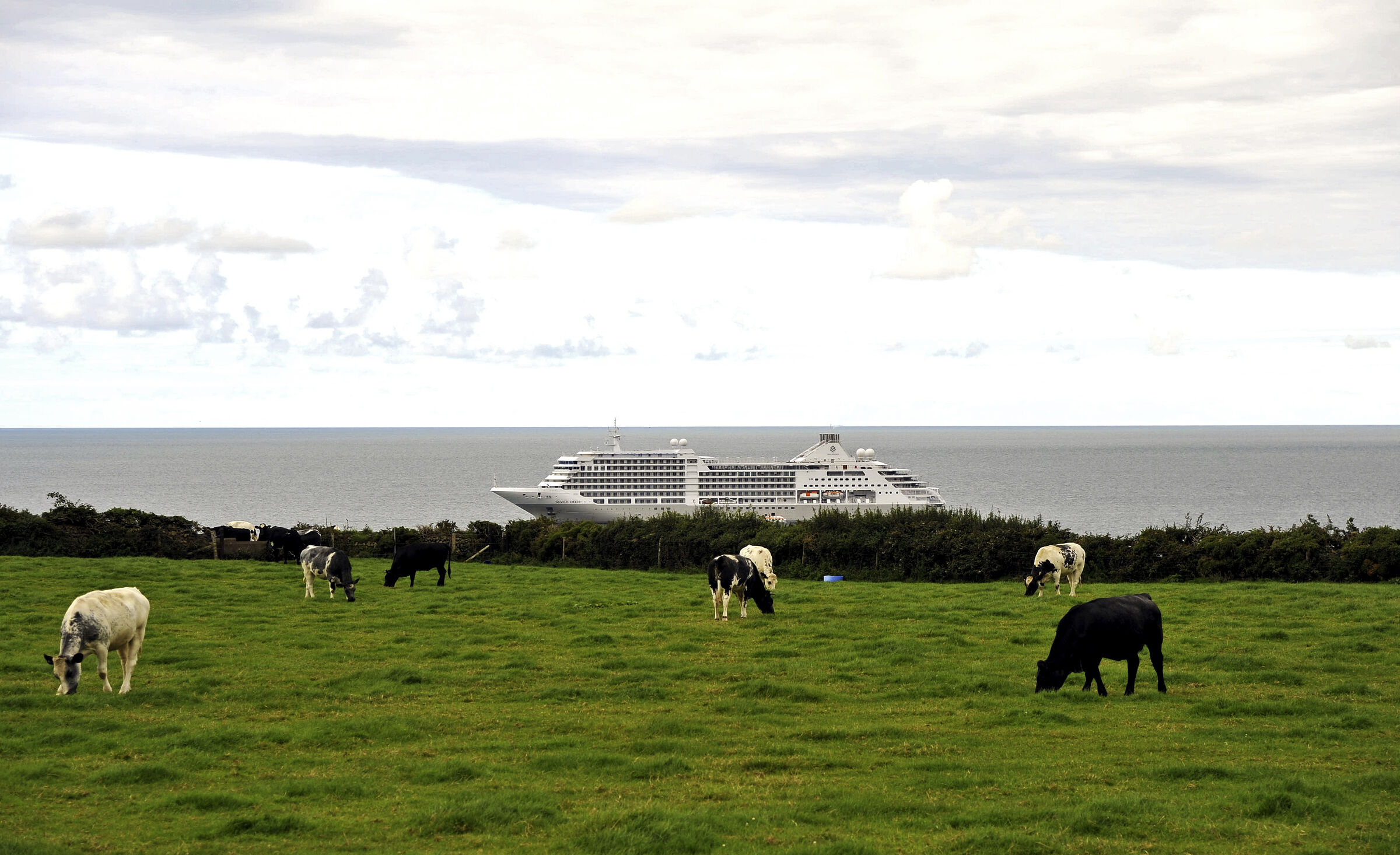 wales – fishguard goodwick (02)