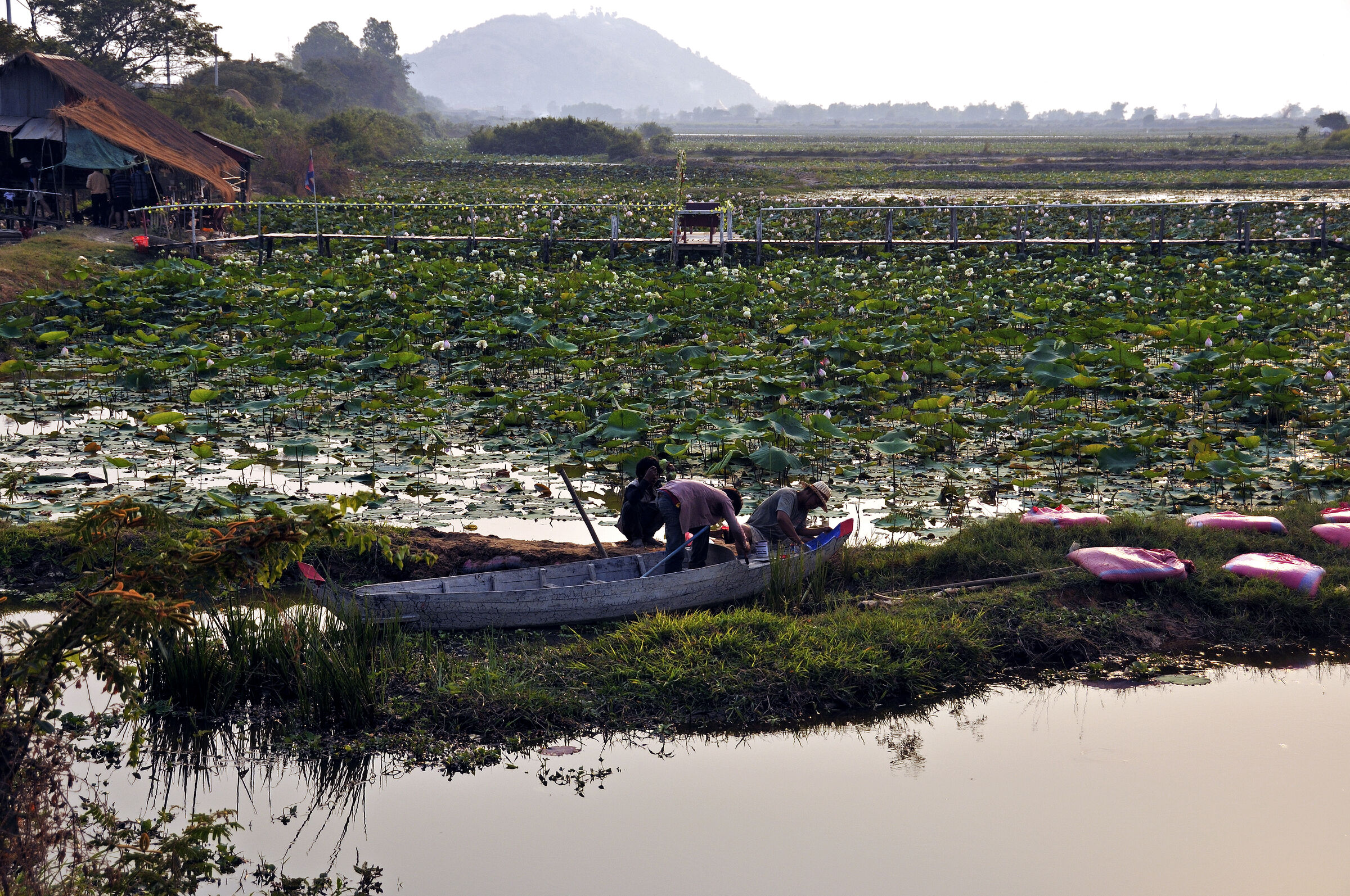 siem reap- rückweg von phnom krom (07)