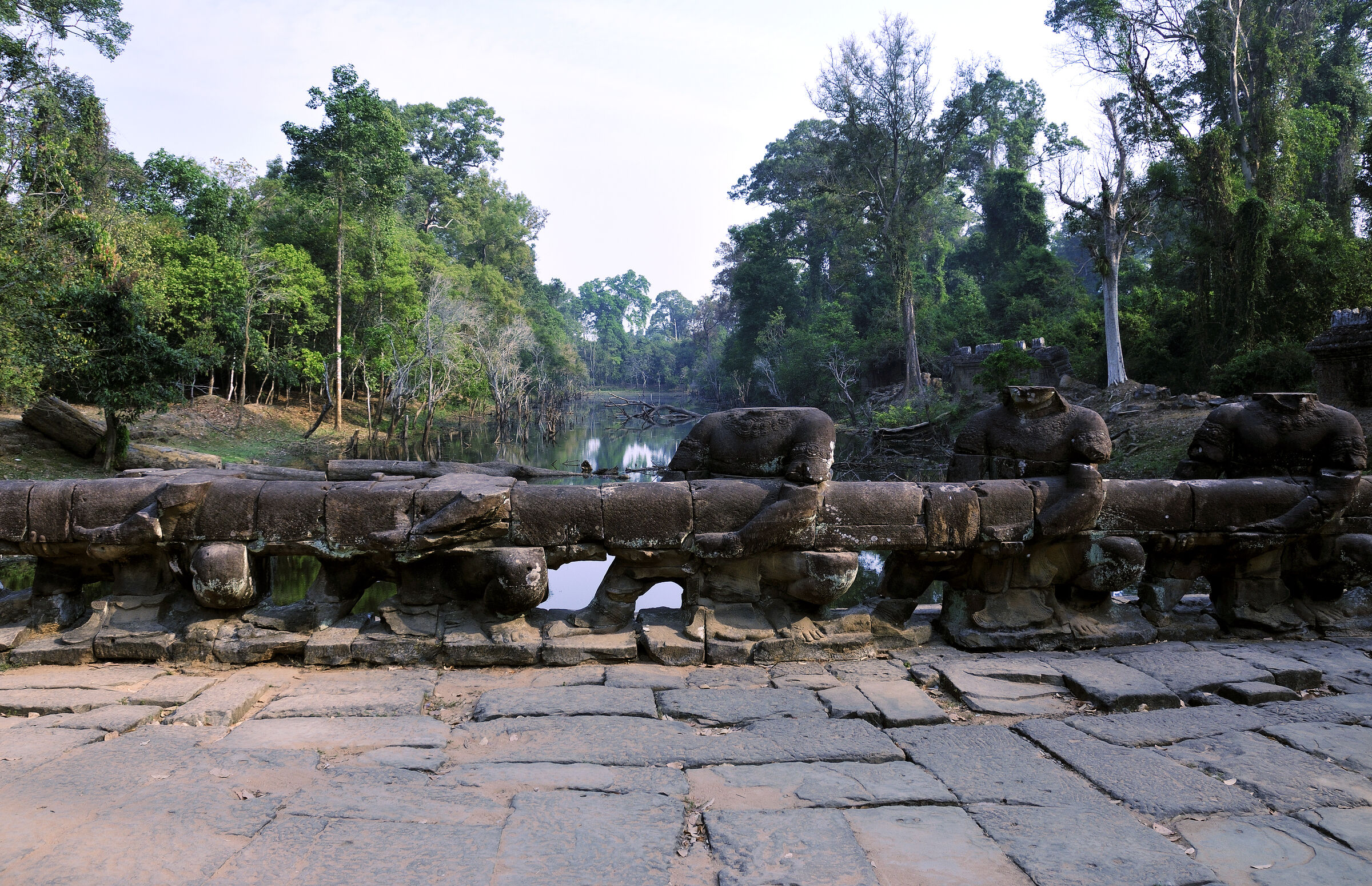 kambodscha - tempel von anghor - preak khan (13)