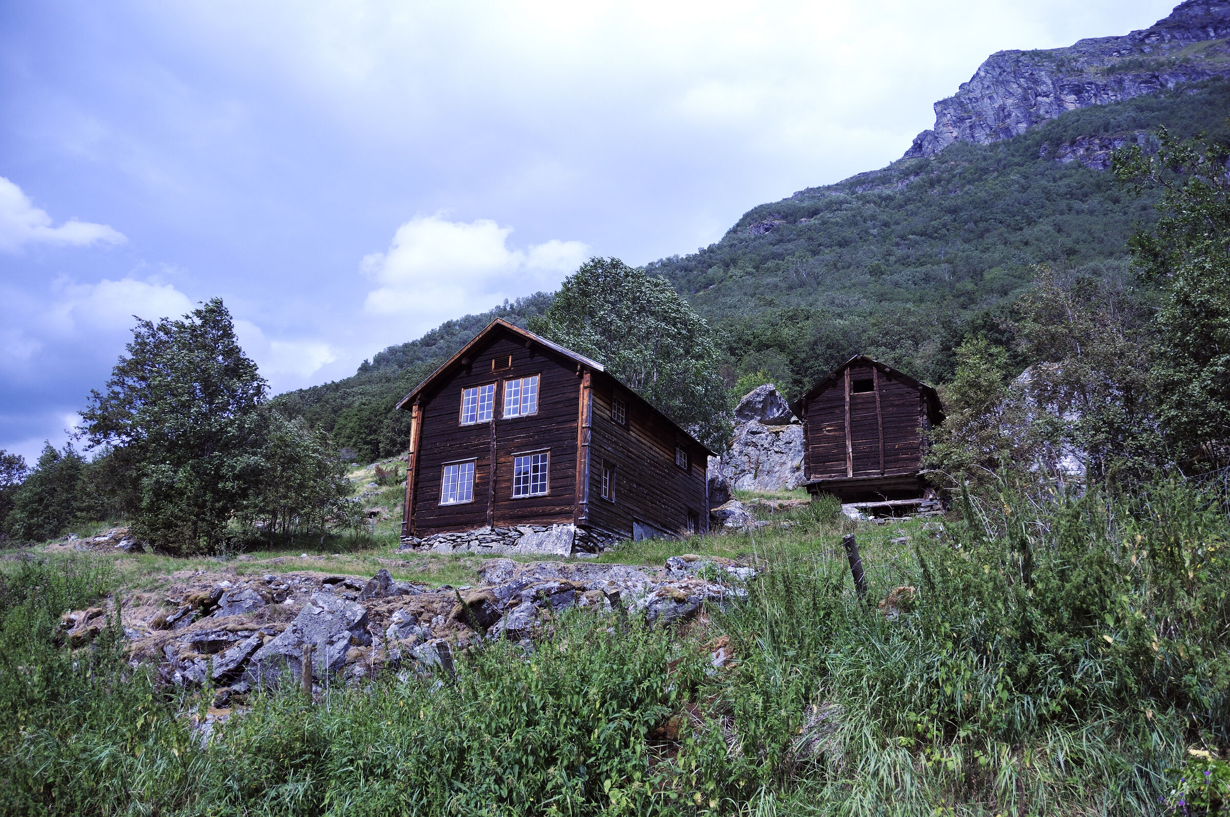 norwegen (81) - unterwegs auf der 55