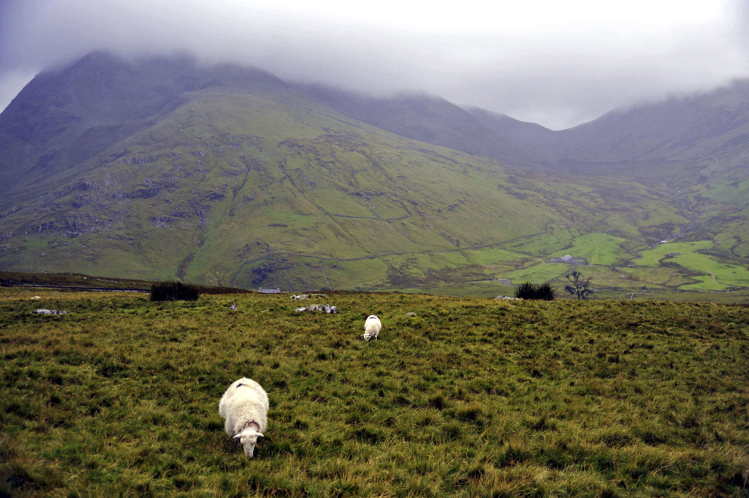 wales – snowdon (01)