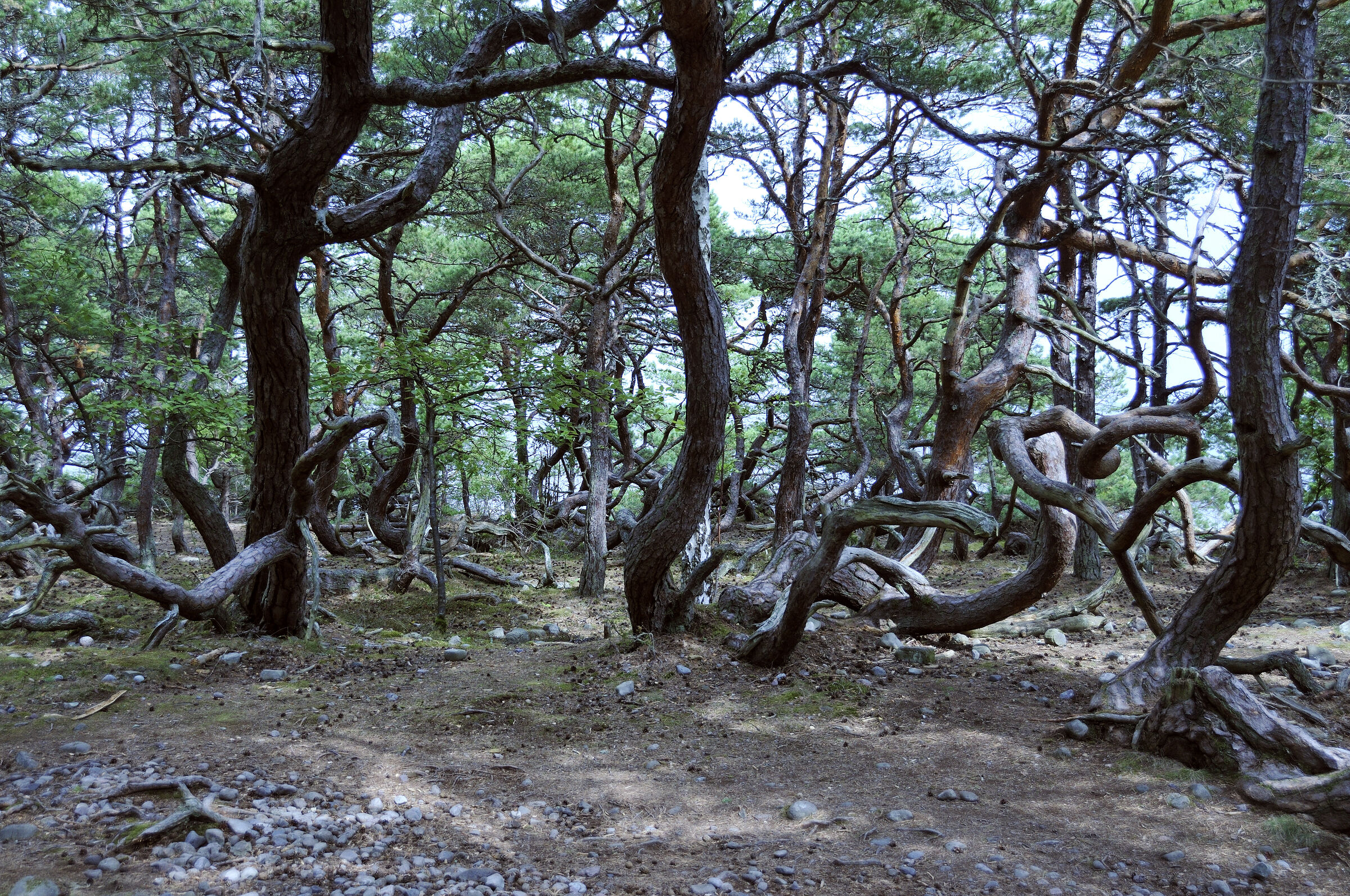 schweden 2017 - (36)